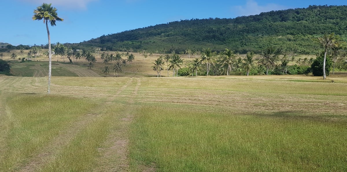 A portion of the former Mariana Country Club golf course is seen on Monday. Photo by Emmanuel T. Erediano