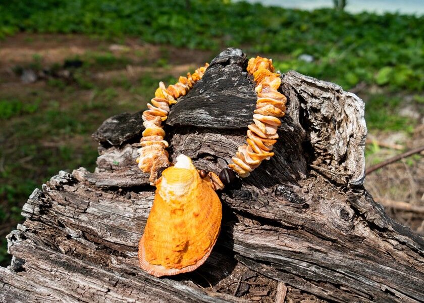 Marianas Variety photo