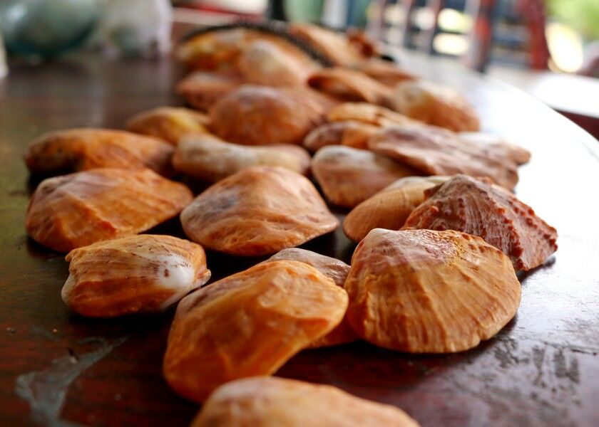 Marianas Variety photo