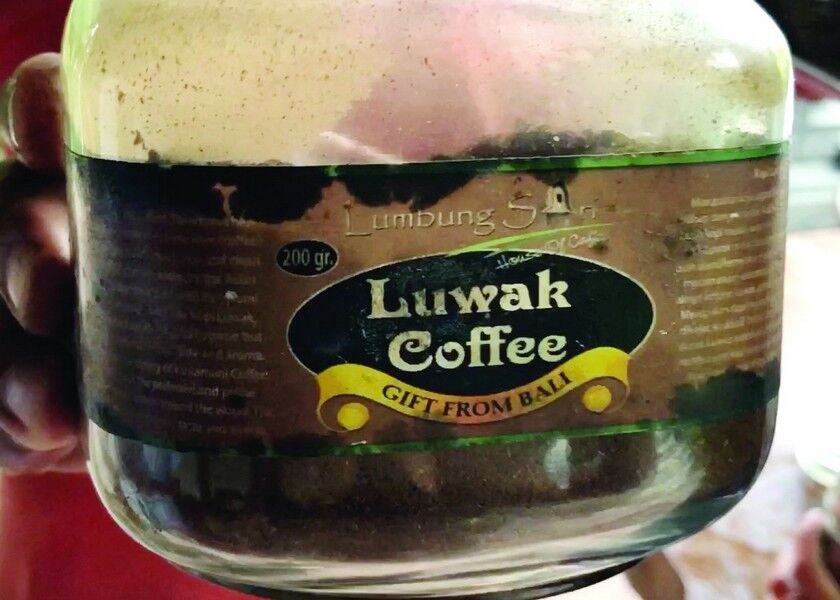 Luwak Coffee in Bali.