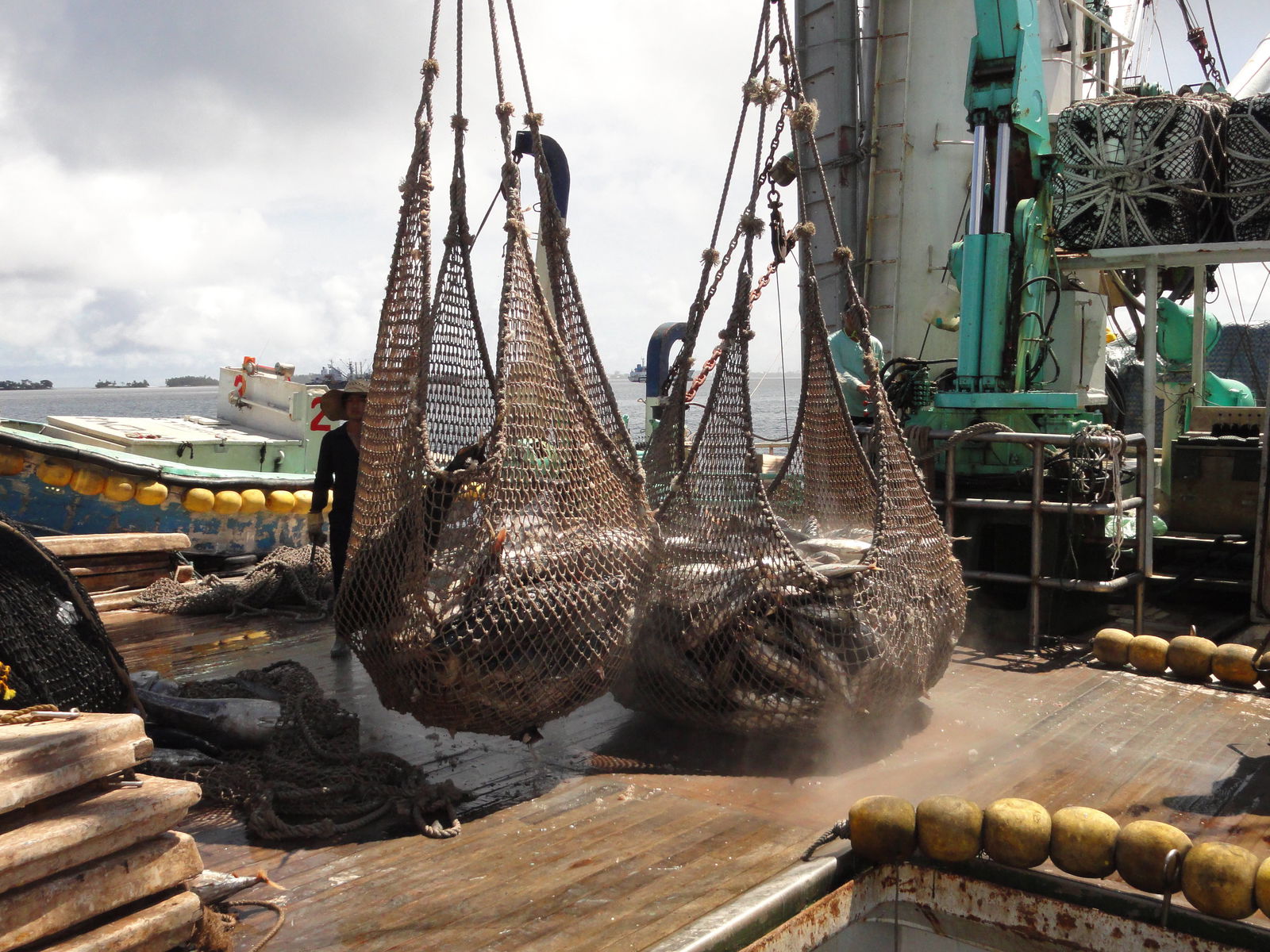 Tuna caught by a longline vessel is off-loaded in Majuro in this file photo. A South Korean longline vessel was charged Friday with illegal fishing in Marshall Islands waters earlier this month. Photo by Hilary Hosia