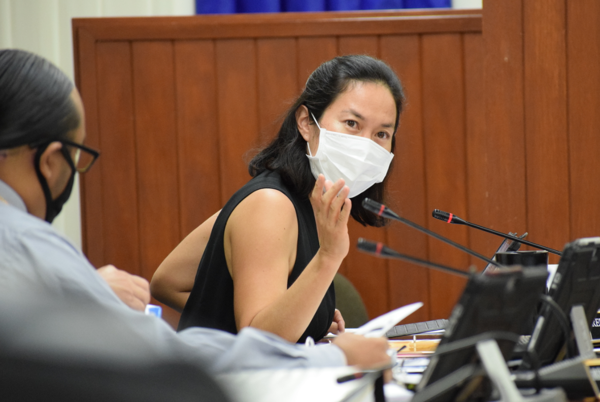 House Minority Leader Tina Sablan gestures as she speaks during the House Special Committee on Federal Assistance and Disaster Related Funding meeting on Tuesday.Photo by Emmanuel T. Erediano