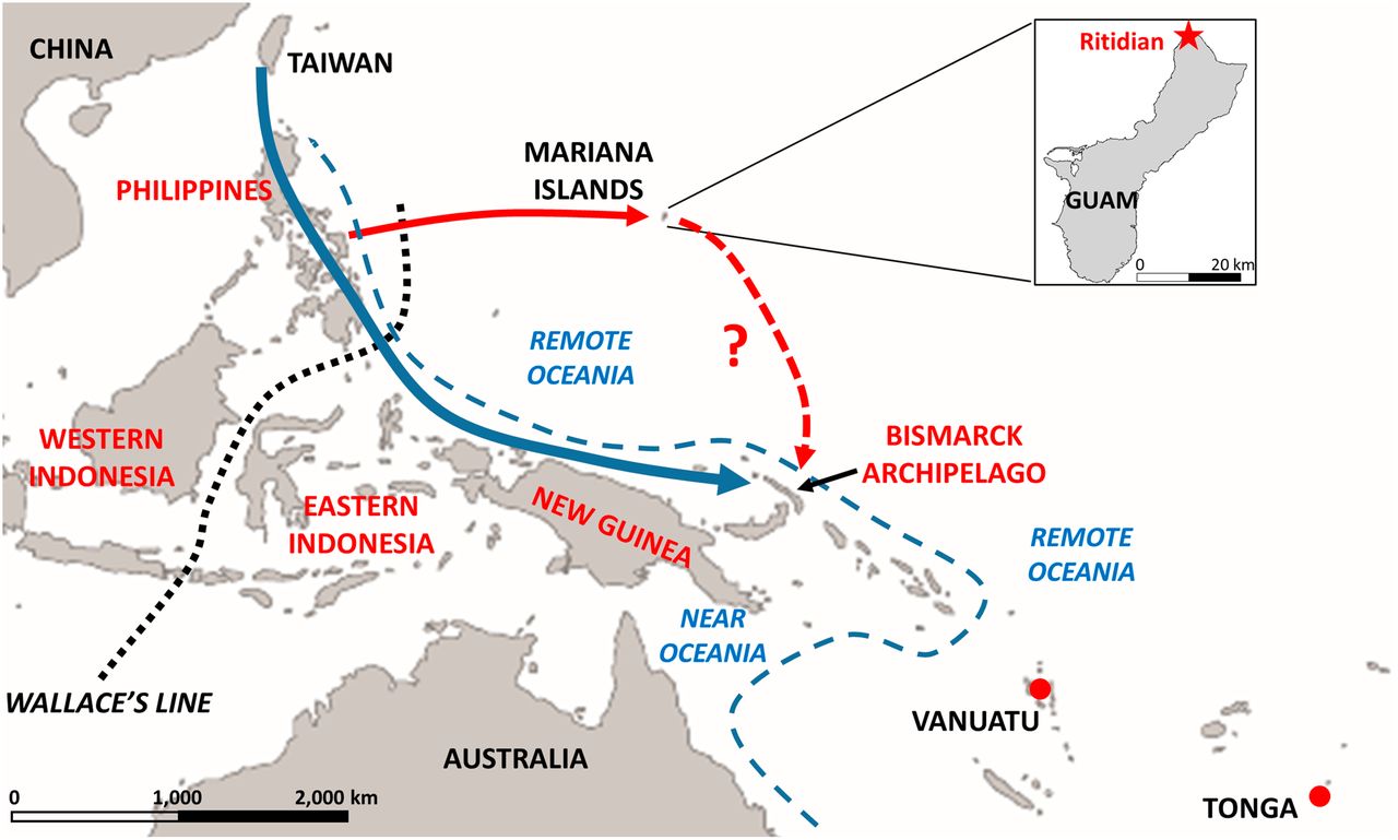 Inset shows the location of the Ritidian site on Guam. Location names in red have been suggested as potential sources for the settlement of the Mariana Islands. Wallace’s Line divides biogeographic regions and lies at the boundary of the prehistoric continental landmasses of Sunda and Sahul. The dashed blue line indicates the boundary between Near and Remote Oceania. Red dots indicate the locations of the early Lapita samples from Vanuatu and Tonga; the blue arrow indicates the conventional route for the Austronesian expansion to the Bismarck Archipelago, which was then the source of initial voyages to Remote Oceania; the solid red arrow indicates the route for the settlement of the Marianas; and the dashed red arrow indicates the potential contribution of Mariana Islanders to further settlement of the Pacific.bioRxiv image/The Guam Daily Post