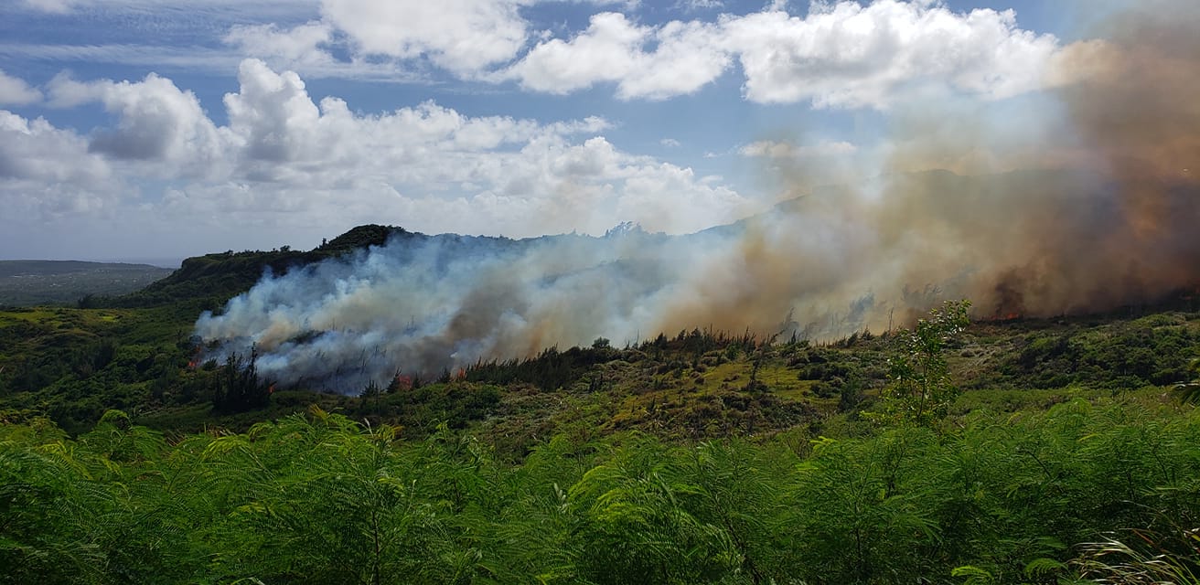 Grass fire breaks out on Capital Hill Thursday. DFEMS photo