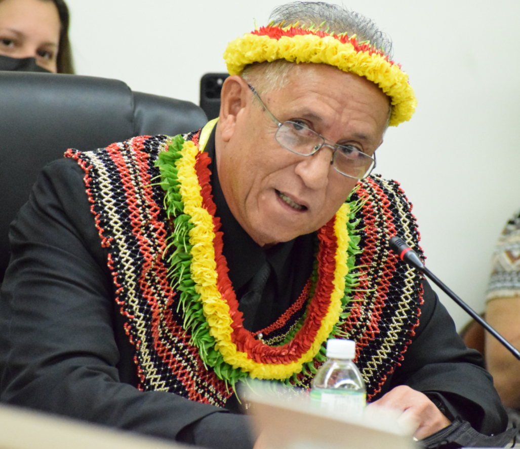 Rep. Joseph Leepan T. Guerrero