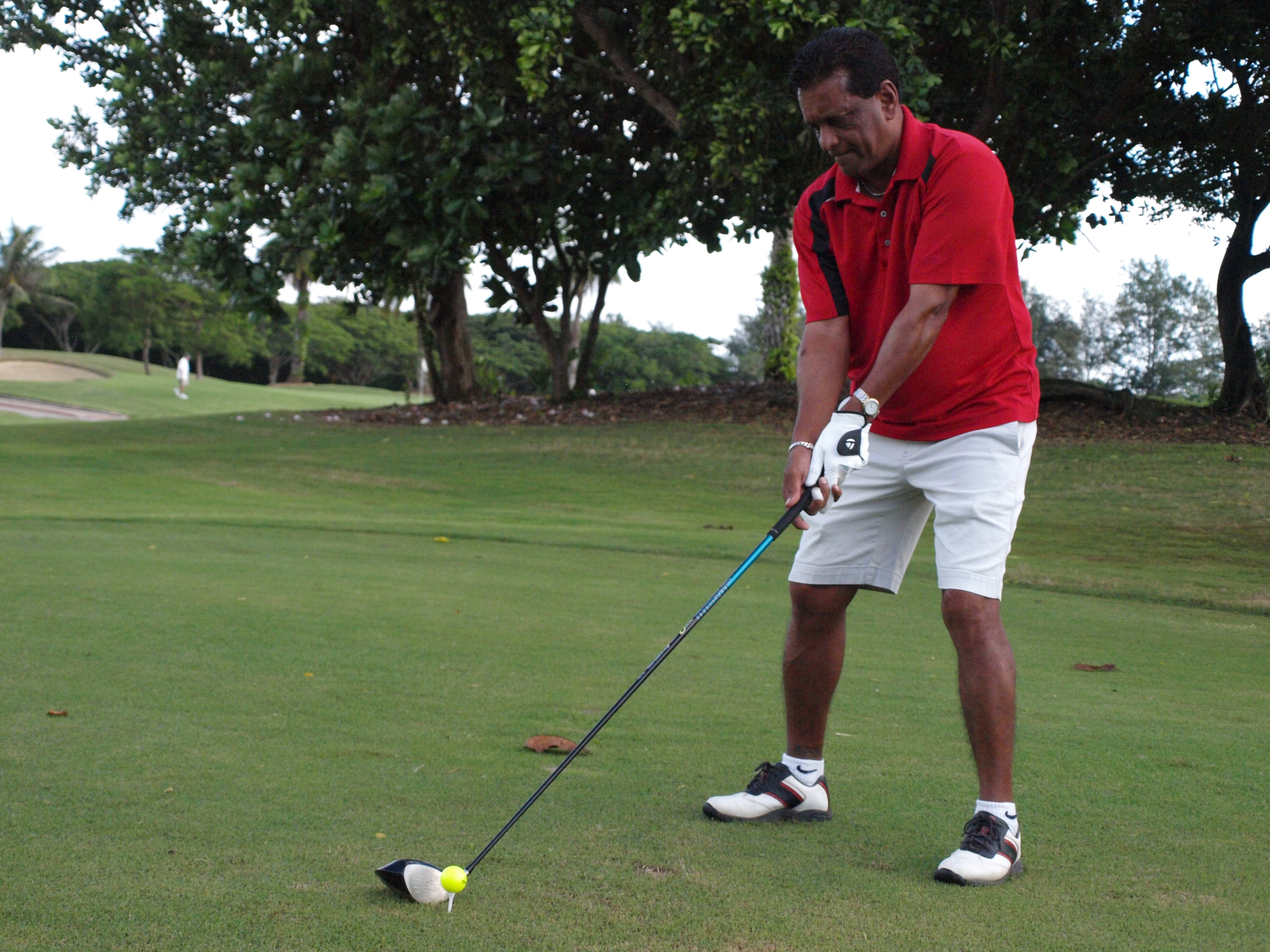 Das Krishnan