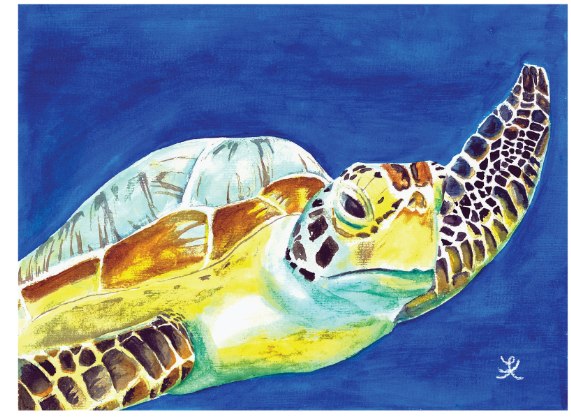 Frank, the Green Sea Turtle, by Kate King Manglona with art teacher, Victoria Sewell. Watercolor.