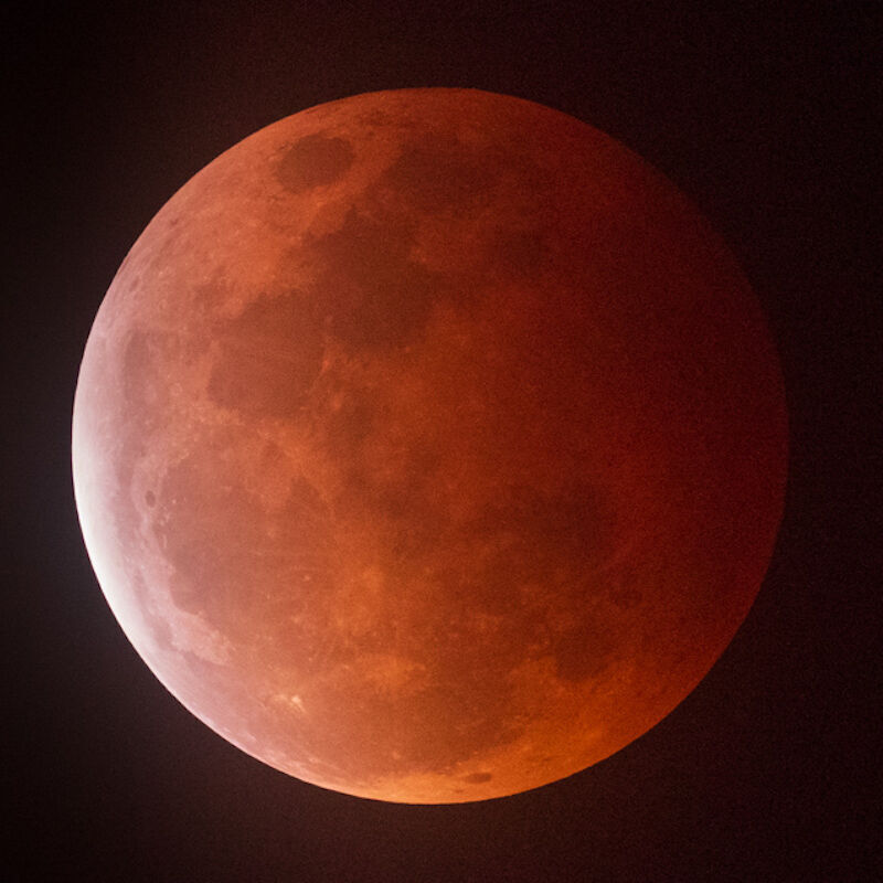 A close up view of Wednesday night’s lunar eclipse covered in a rent tint as the earth passed between the moon and the sun.