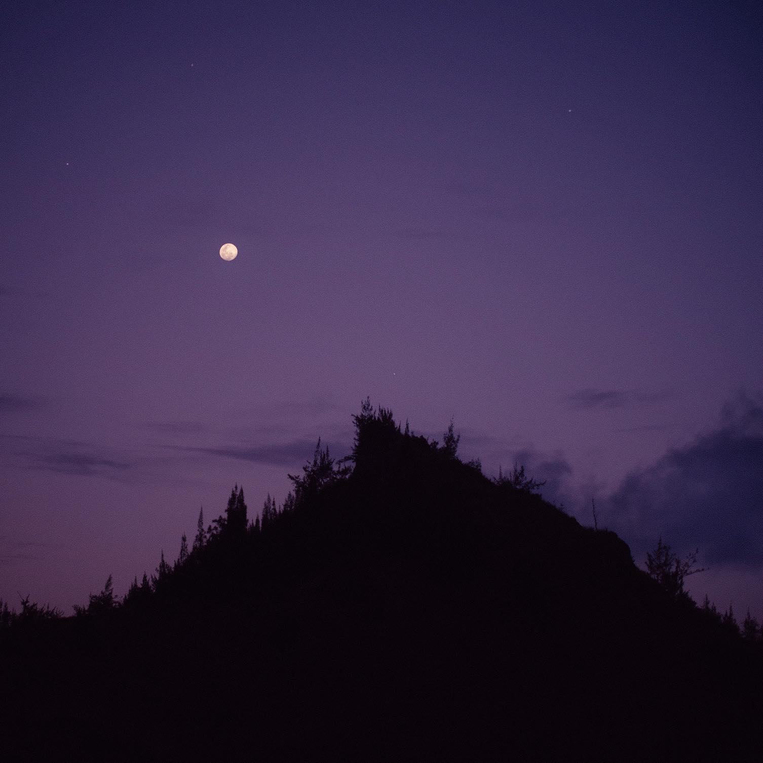 A full moon in April 2021.Photo by David Butterfield