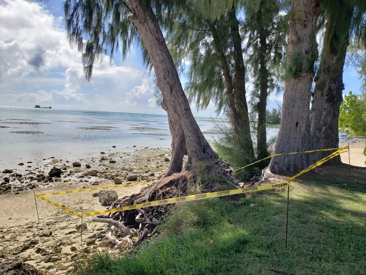 On Thursday, the Department of  Lands and Natural Resources marked the  uprooted tree with caution tape and advised the public to stay away from the area.