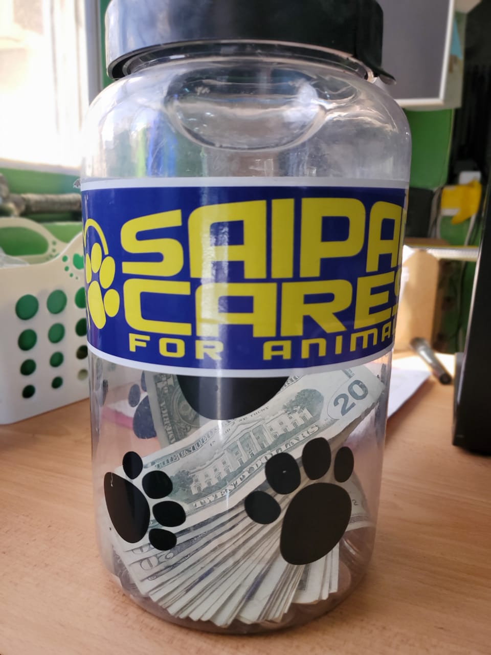 Saipan Cares for Animals is a non-profit animal rescue clinic that provides low cost services to the Northern Marianas. Since the closure of Saipan's lone veterinary office, SCA is the only organization providing medical care for animals in the CNMI. For more information, go to https://www.saipancaresforanimals.com