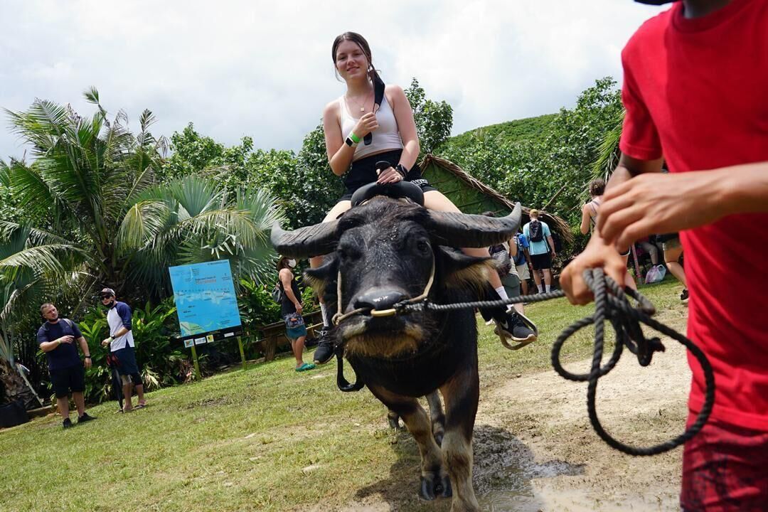 Gianna Morelli, a student at the University of Pittsburgh, hops on Latte the carabao to take a small tour around the Micronesian Village at the Valley of the Latte in Talo'fo'fo', Guam on July 31, 2021. Cultural tourism venues such as the Valley of The Latte have been left out of pandemic relief aid packages, so the governor created a $25 million local program, which can grow to $50 million, to help them and their employees.