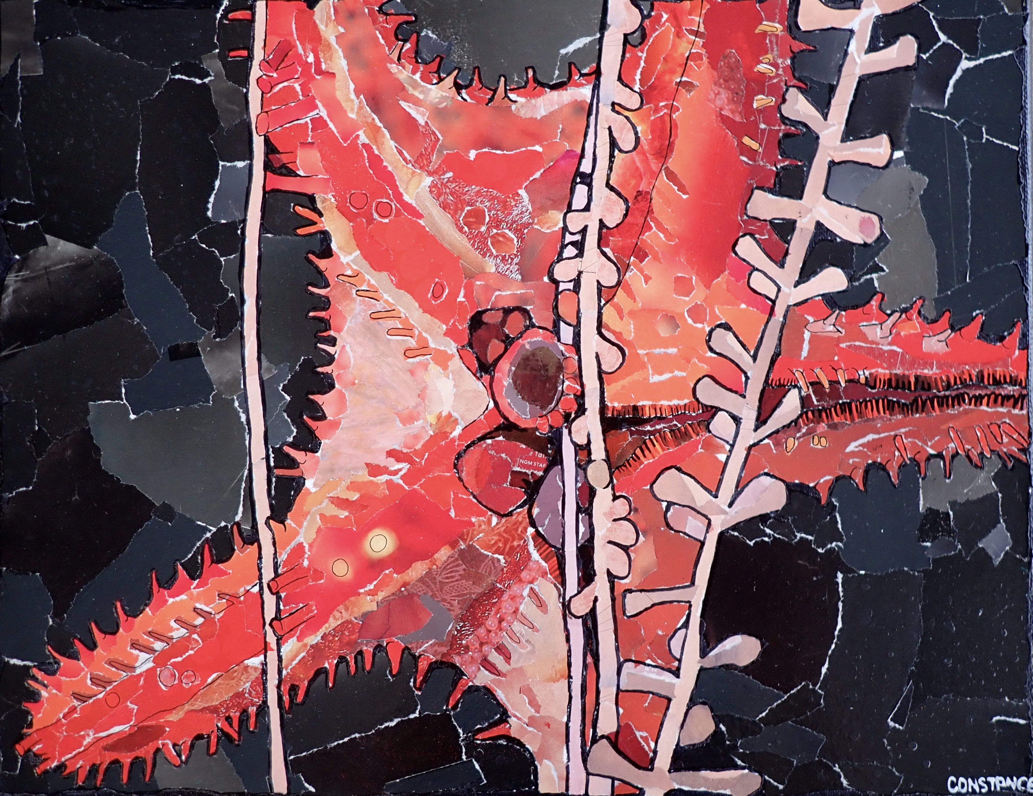 Constance Sartor created this collage of a corallivorous sea star using magazine images of flowers, eggs, and clothing.