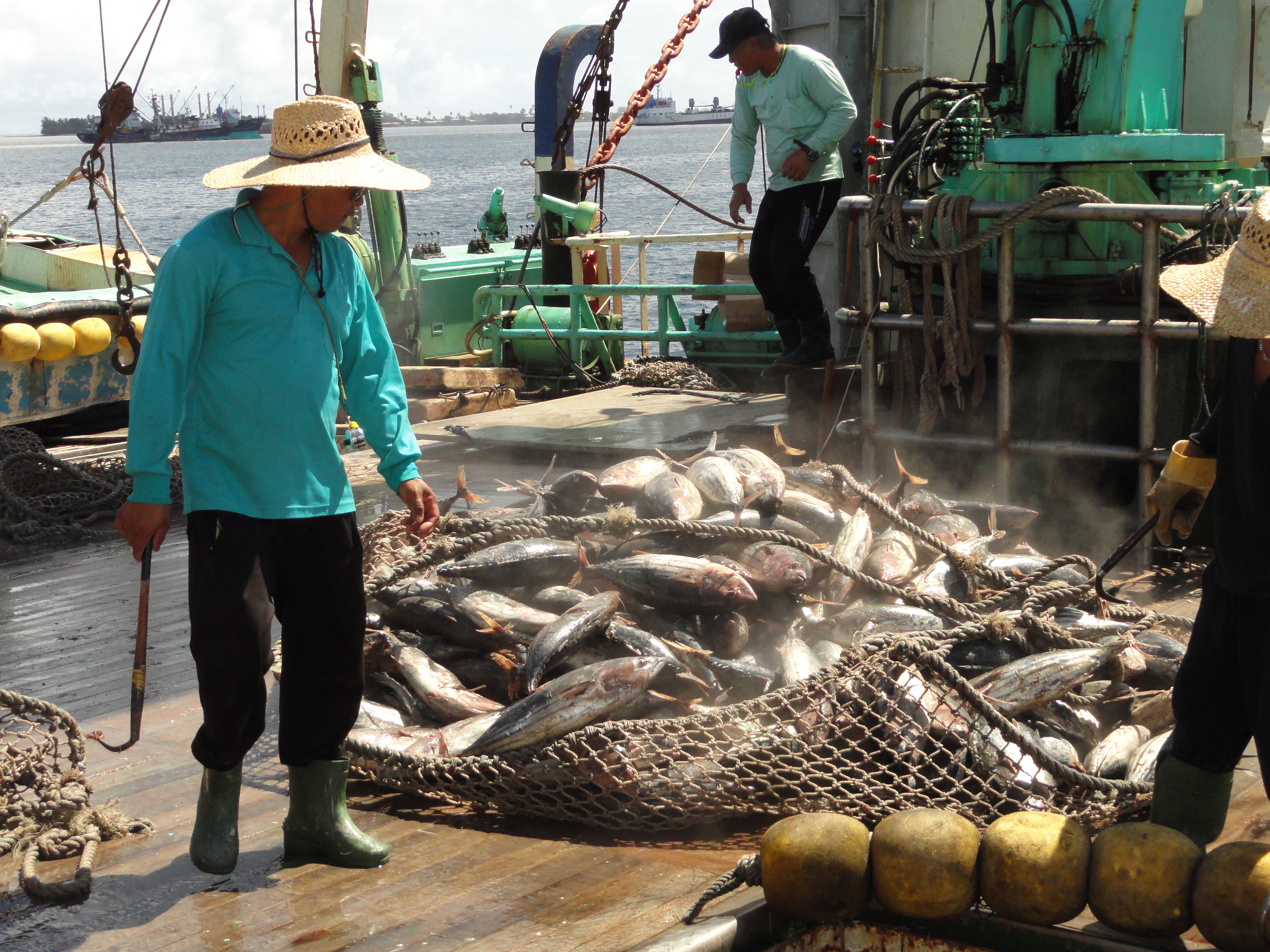 A Marshall Islands-flagged vessel is in the process of transshipping its tuna catch to canneries in different parts of the world.