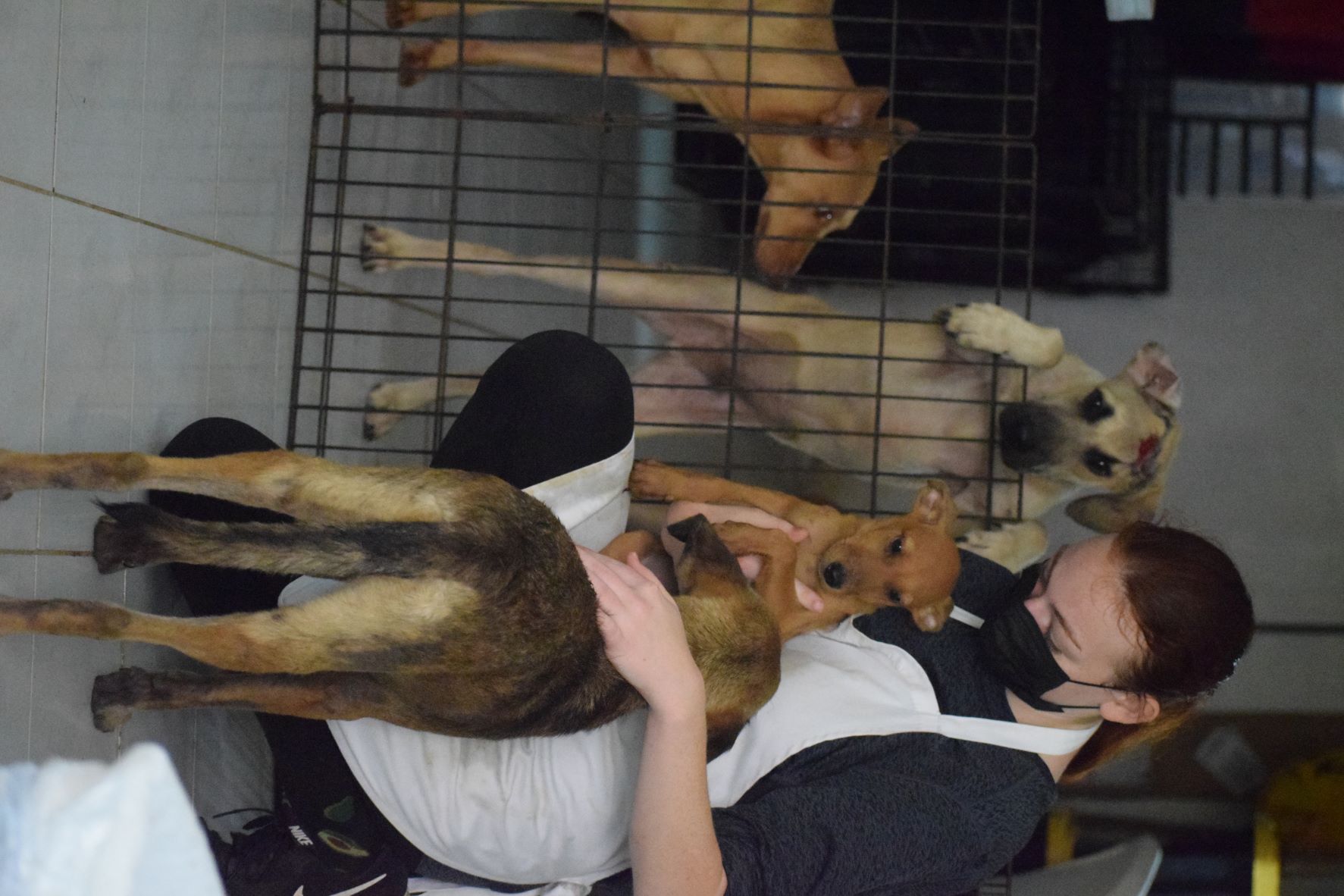Veterinary nurse Frances Pliscou with some of the rescued dogs at the As Gonno animal shelter on Jan. 6, 2022.