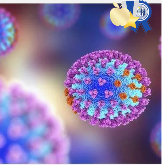 The “Power Of Clean Hands" highlights items being used to clean hands and are effective in killing germs. Submitted by Sophia Faith Barcinas of Sinapalo Elementary School on Rota, the project won first prize in the general science 6-8 category.