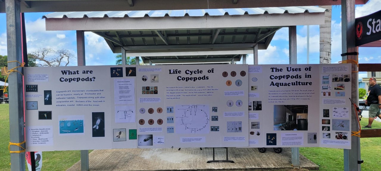 NMC-CREES presented on copepods.