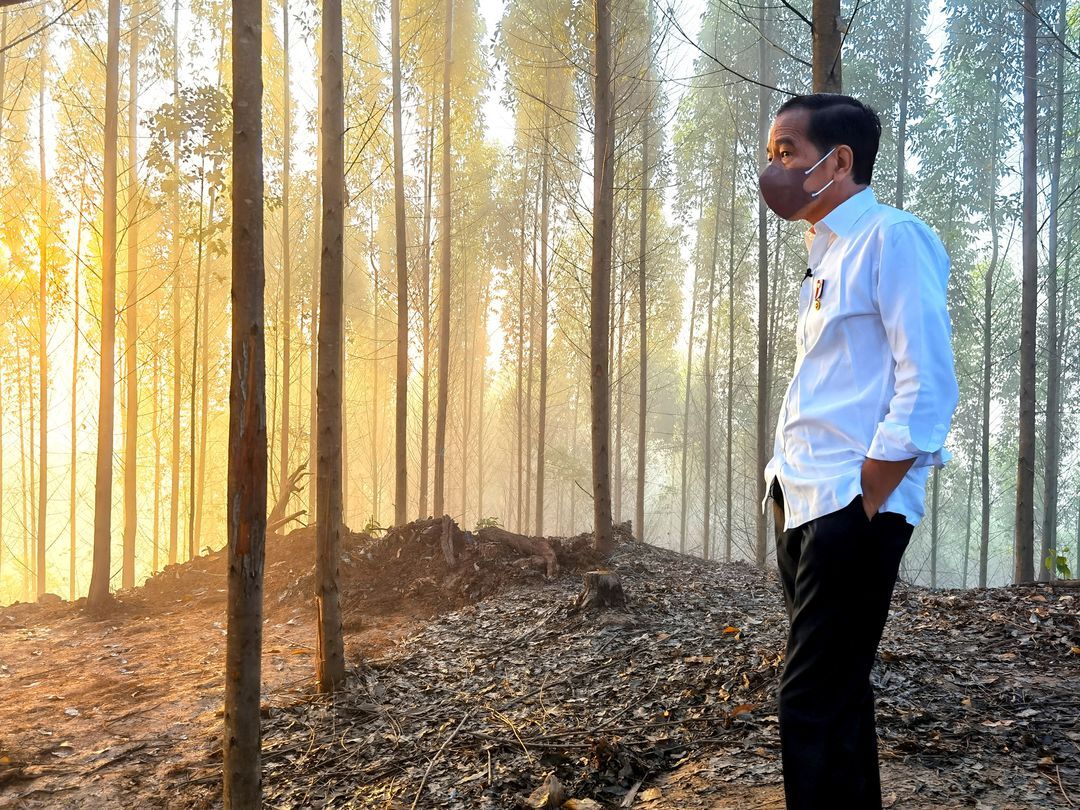 Indonesian President Joko Widodo inspects an area that will be the site of the new capital city, during sunrise in Penajam Paser Utara regency, East Kalimantan province, Indonesia, March 15, 2022.