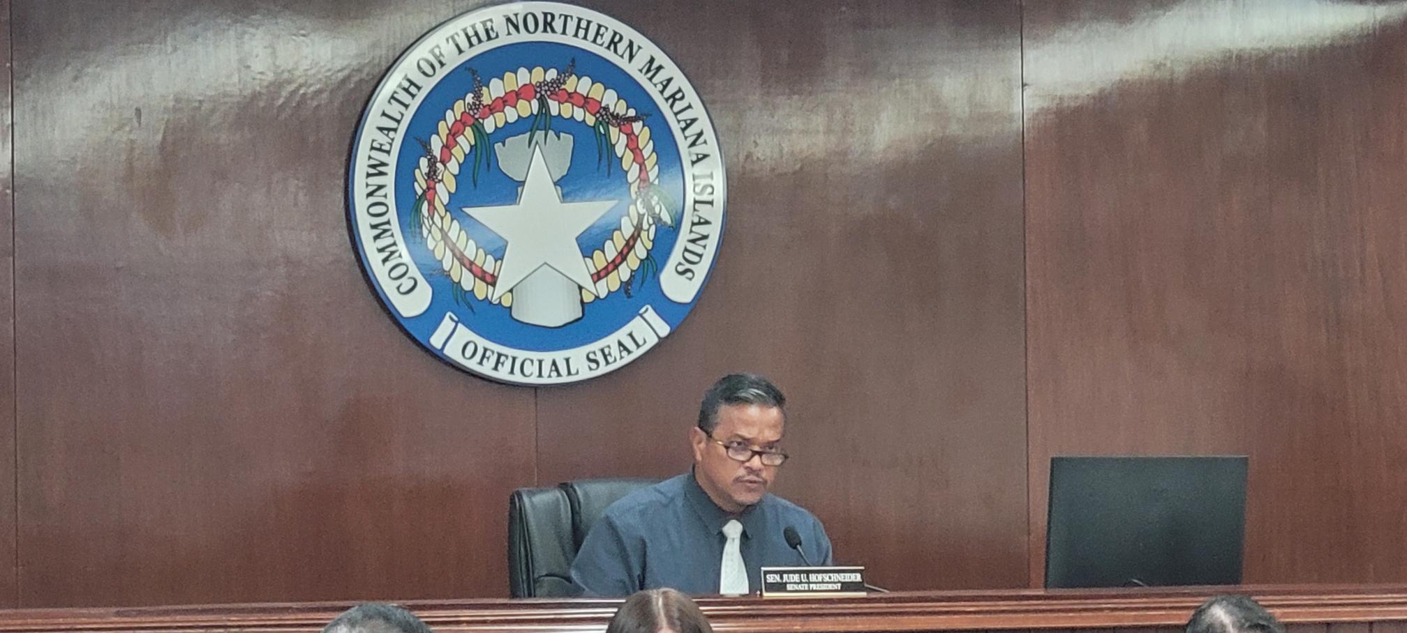 Senate President Jude U. Hofschneider presides over the hearing on Tuesday.