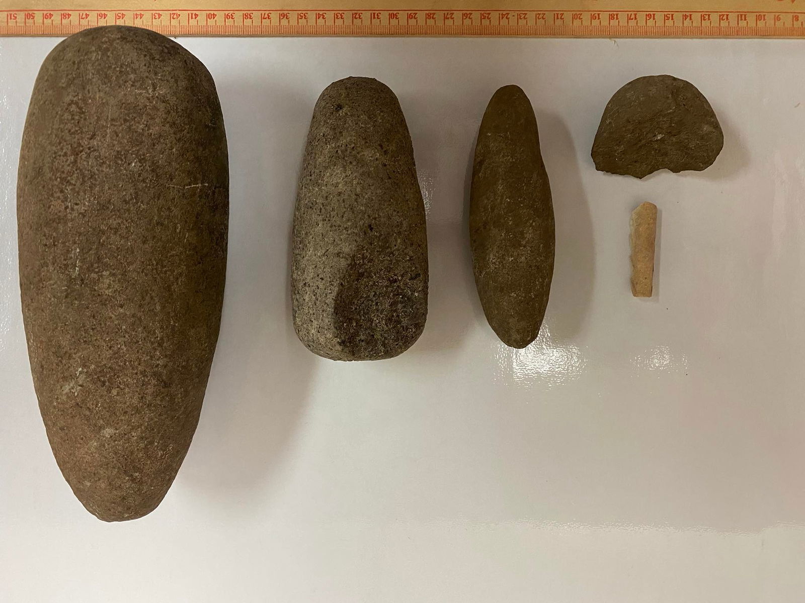 Artifacts found in the temporary parking lot from northwest and southwest of the Oleai Sports Complex track and field by the IRP Archaeology Team: 1) Pestle2) Hammer3) Chisel4) Broken piece5) Small white artifact which is a broken piece from a weapon made from a human thigh bone (found near the press box area).These indicate that the area may have been used for tool production. The archaeological team examine, research and hypothesize about possible uses for the artifact as well as how it fits in the possible site usage in the past. They are then surrendered to CNMI Museum once the report is complete.