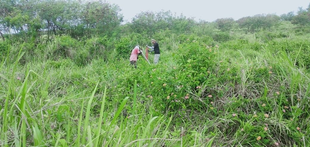 DCA surveyors on Tinian.