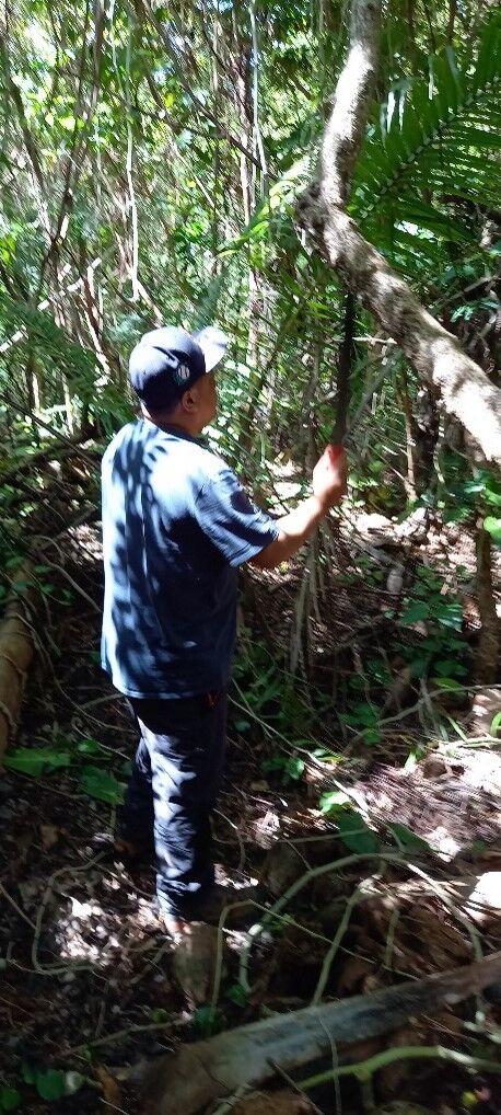 IRP Wildlife Technician Jay Camacho uses a machete to cut a transect in the jungle on May 20, 2022 so that threatened and endangered species surveys can be completed for a new ponding basin in Gualo Rai.