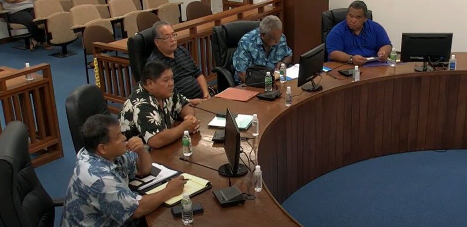 Department of Lands and Natural Resources officials led by Secretary Anthony Benavente appear before the House Committee on Ways and Means in the House chamber on Wednesday.