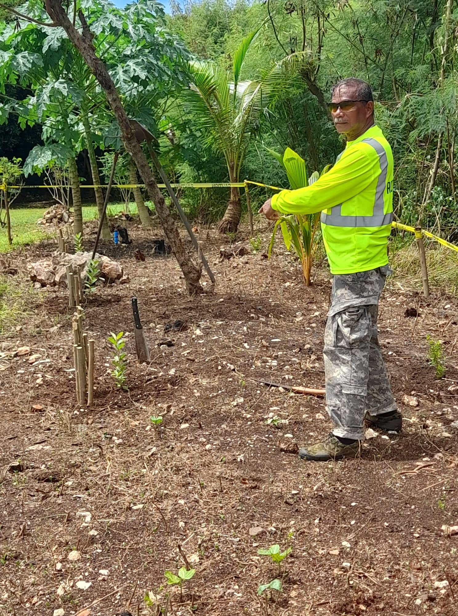 Max Aguon shows the fruit trees he planted in the parking area at the Grotto.