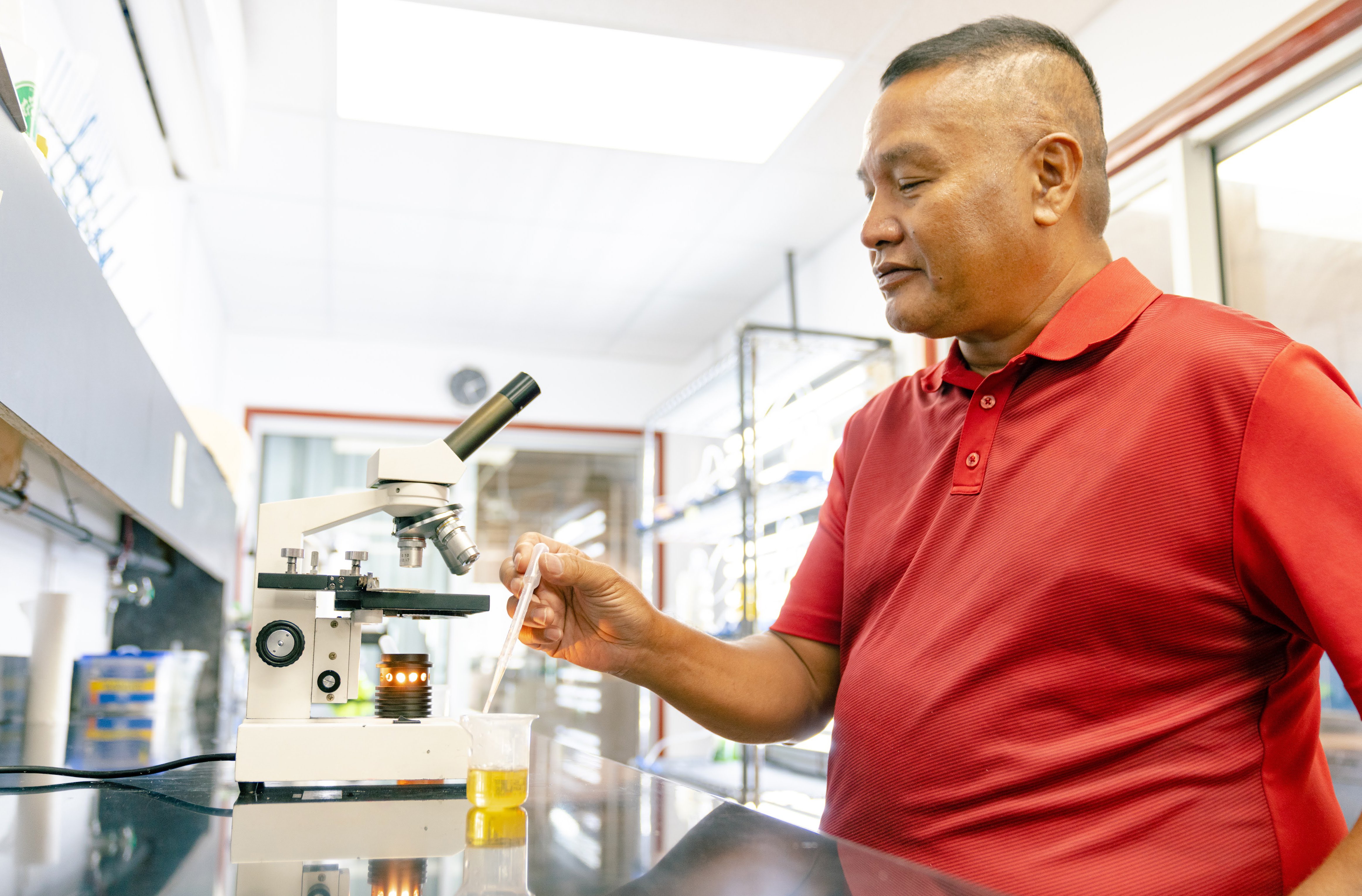Michael Ogo, NMC-CREES aquaculture and natural resources program leader, is about to examine phytoplankton under a microscope at the NMC aquaculture laboratory. The Aquaculture and Natural Resource program of NMC-CREES was recently awarded $536,000 to construct mangrove crab (Scylla serrata) farming demonstration units on  Saipan, Tinian, and Rota.