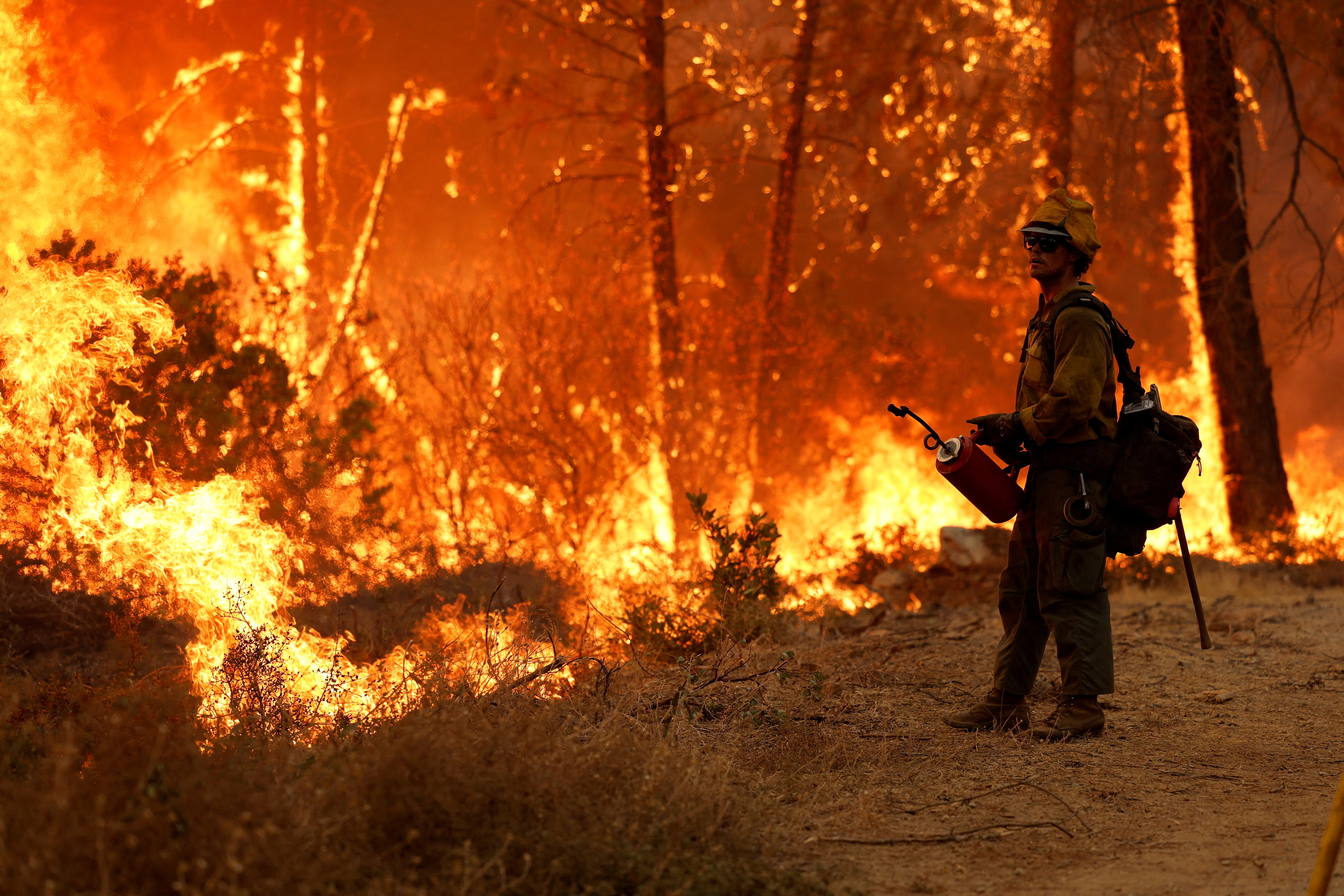 A firefighter monitors the flames from a backfire while fighting the Mosquito fire at Volcanoville, California, Sept. 9, 2022.