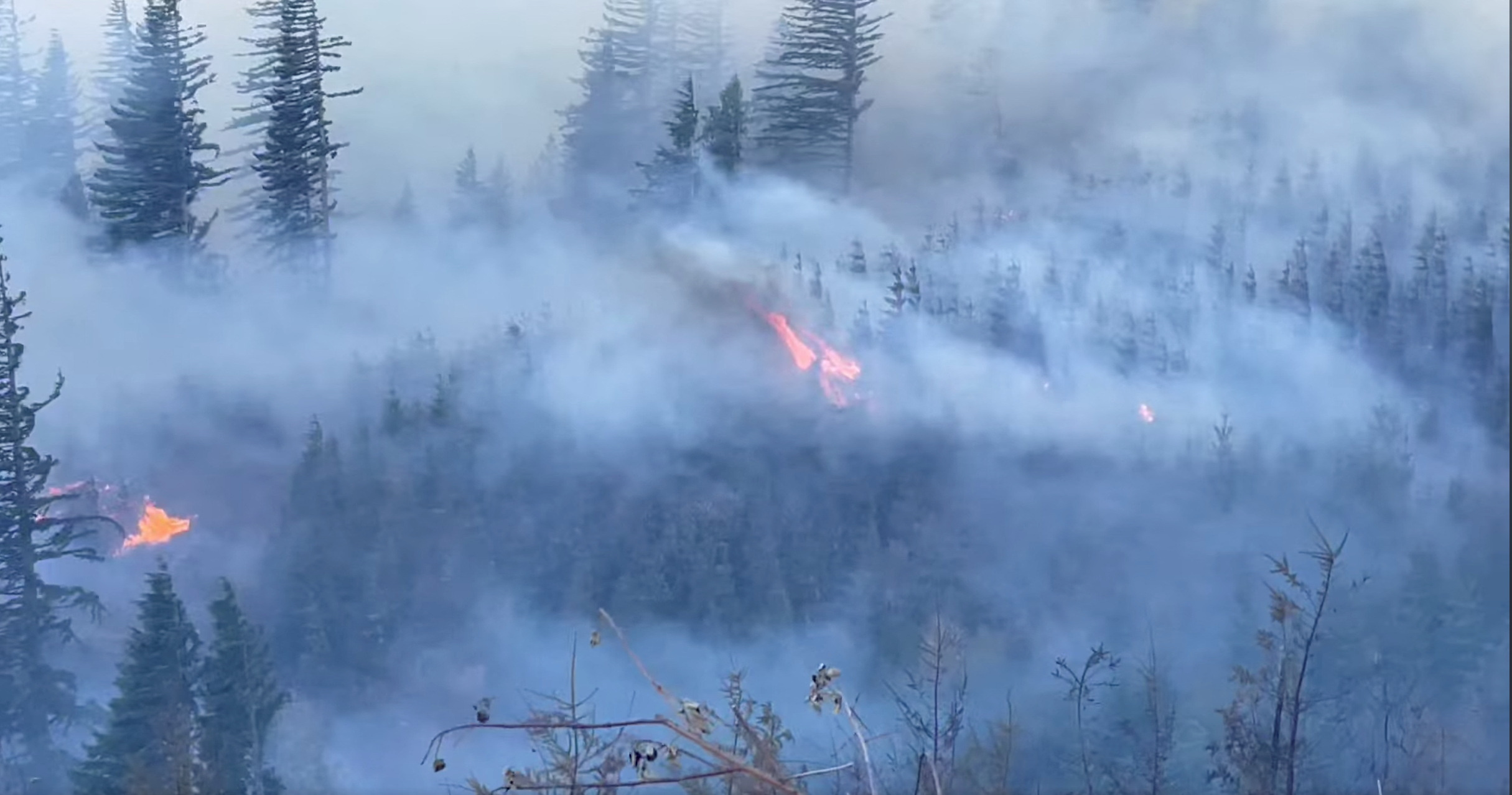 Smoke billows in a forested area after the Nakia Creek Fire exploded in Clark County, Washington state, U.S., October 16, 2022, in this still image taken from video obtained from social media.