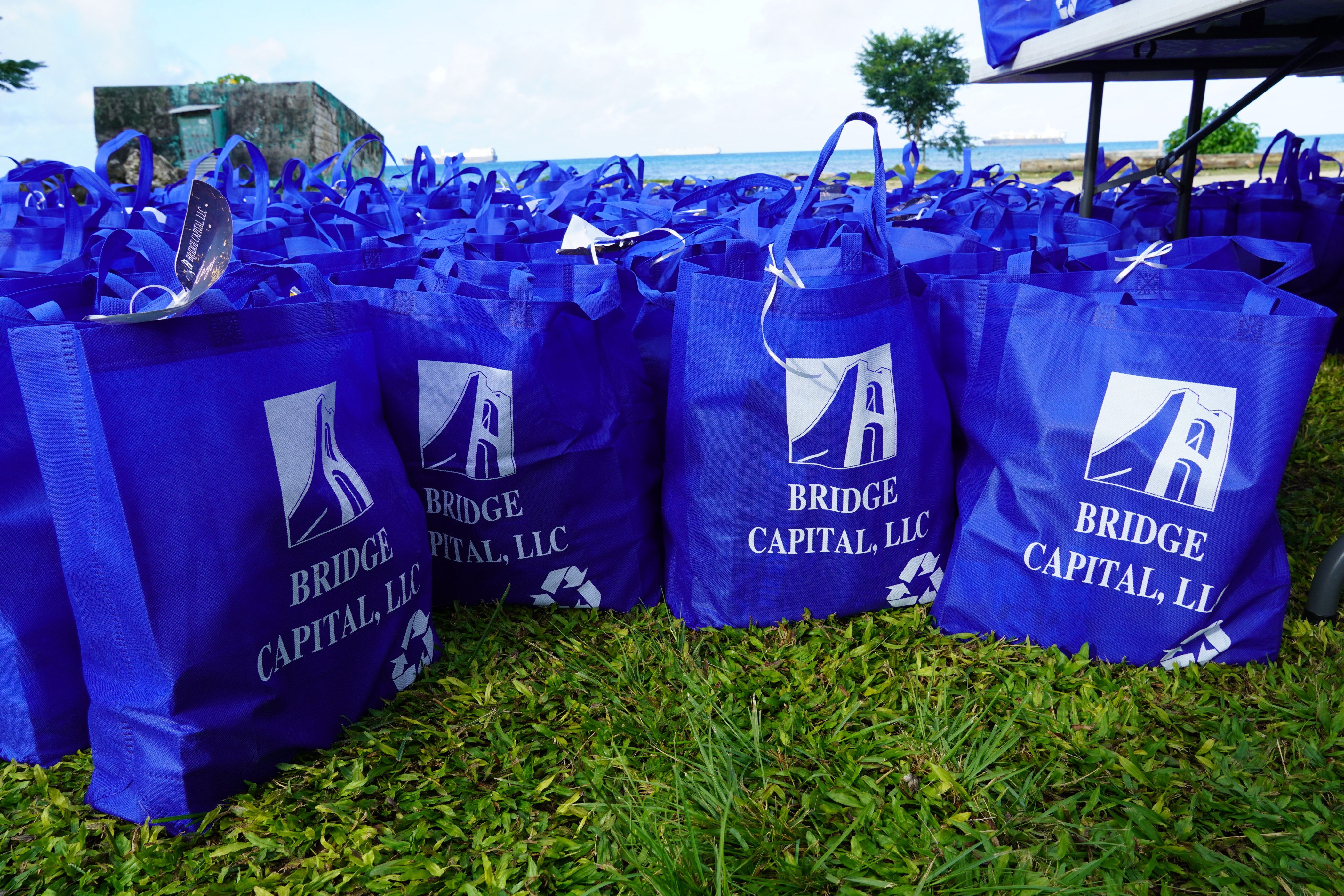 Bridge Capital LLC reusable bags are filled with various food items.