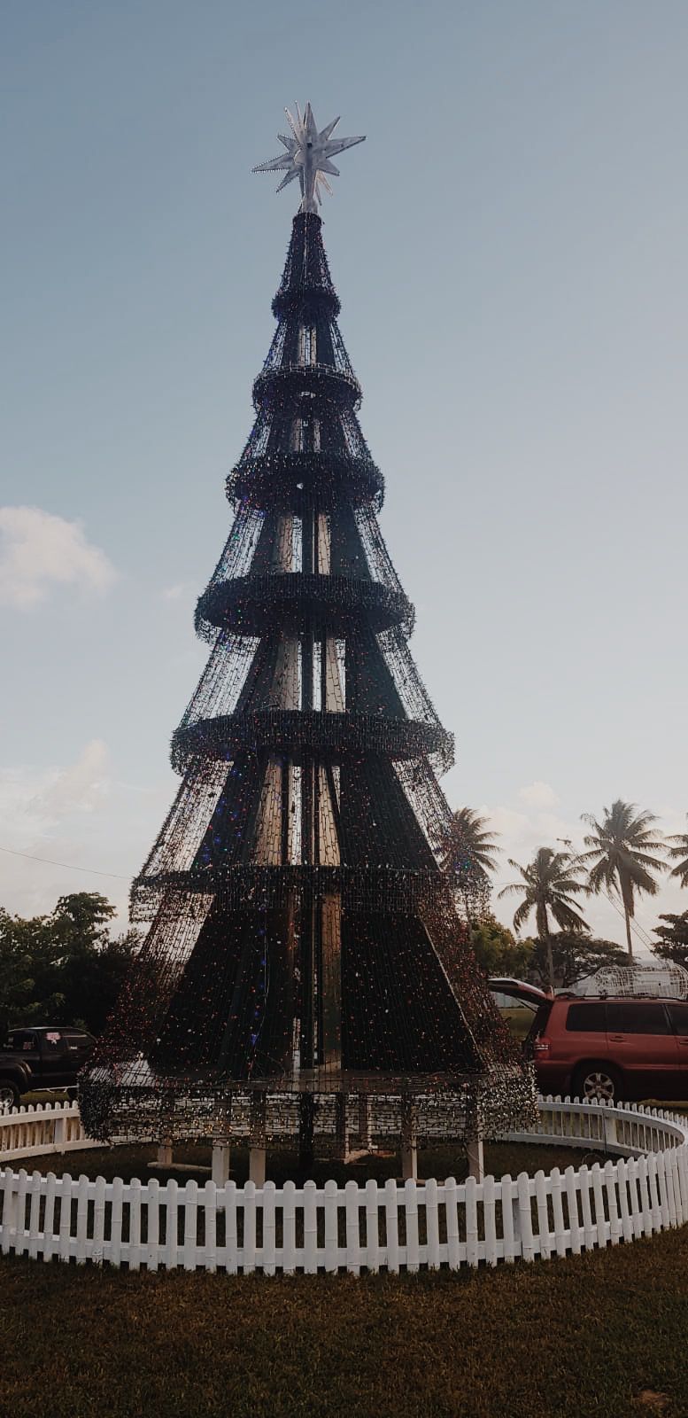 A Christmas tree on Tinian, ready to be lit at a ceremony Friday night.