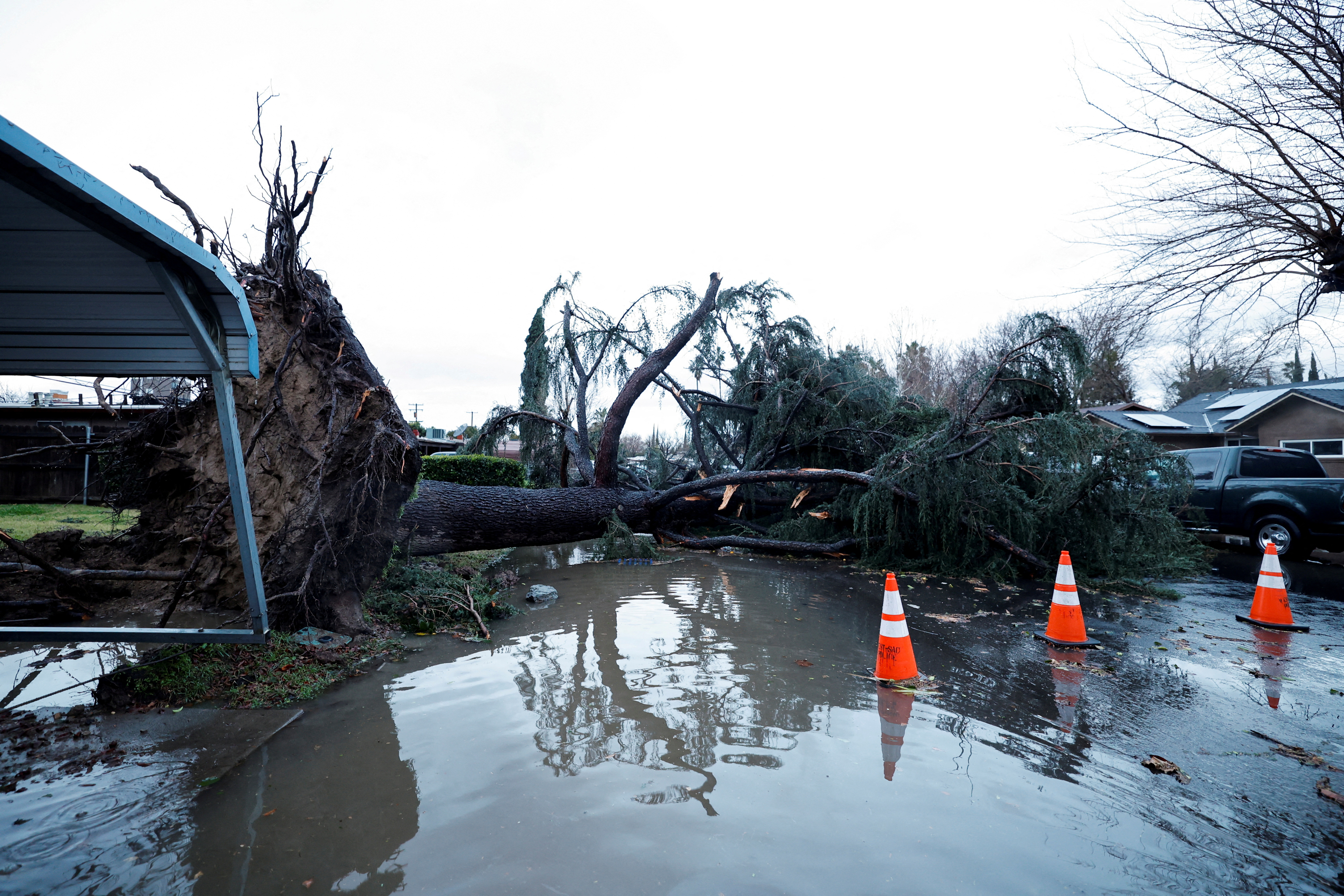 A tree blocks a roadway after it fell in high winds during a winter storm in West Sacramento, California, Jan. 8, 2023.