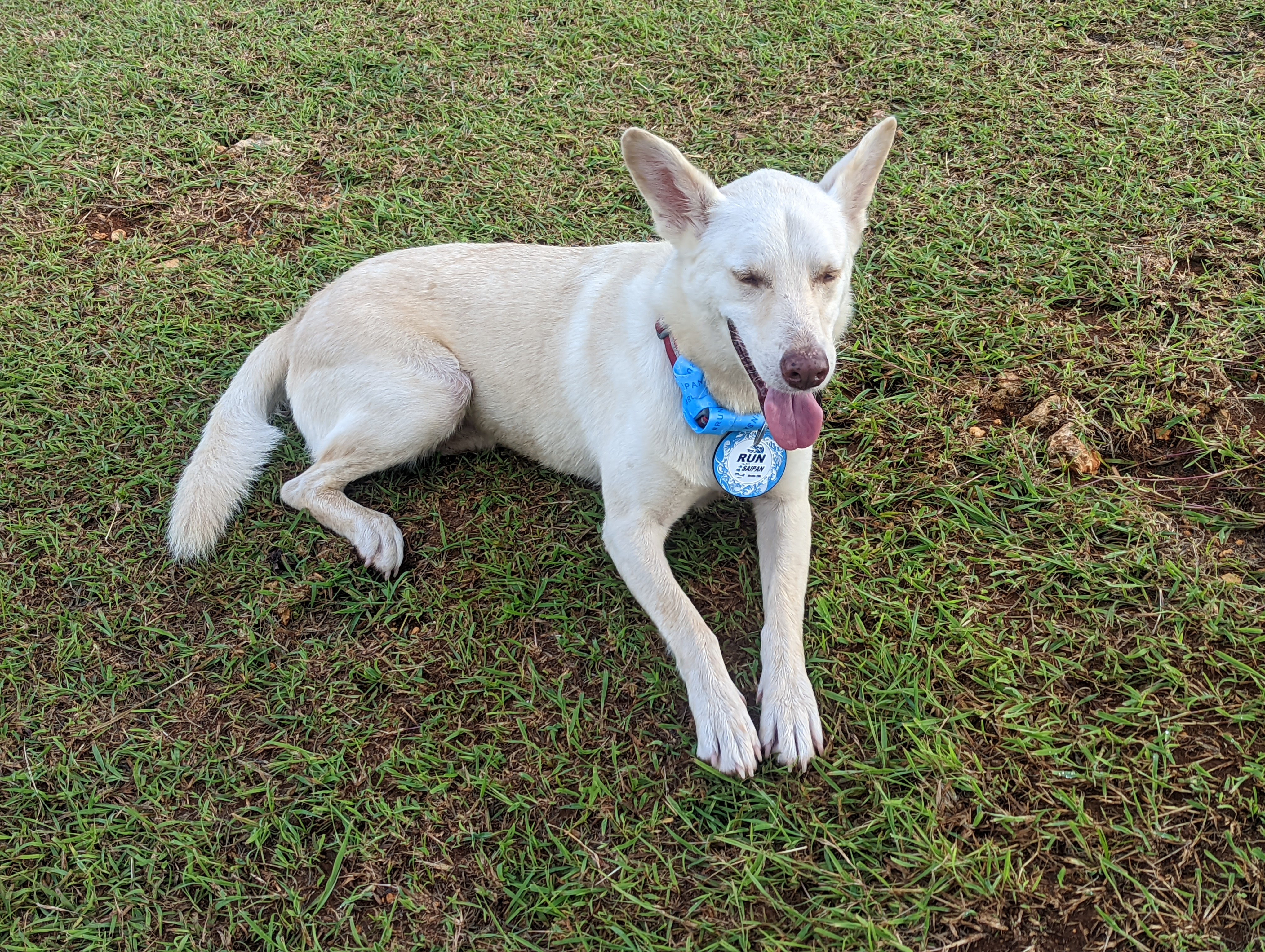Gilligan wears his medal after completing the Run Saipan Grotto 10K race on Aug.  20, 2022.