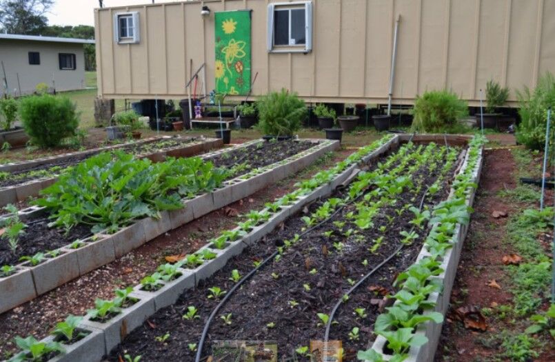 A pair of University of Guam workshops on Jan. 21 will teach residents about the reasons for growing plants in raised-bed gardens, what vegetables and herbs to grow, and when and how to plant them.