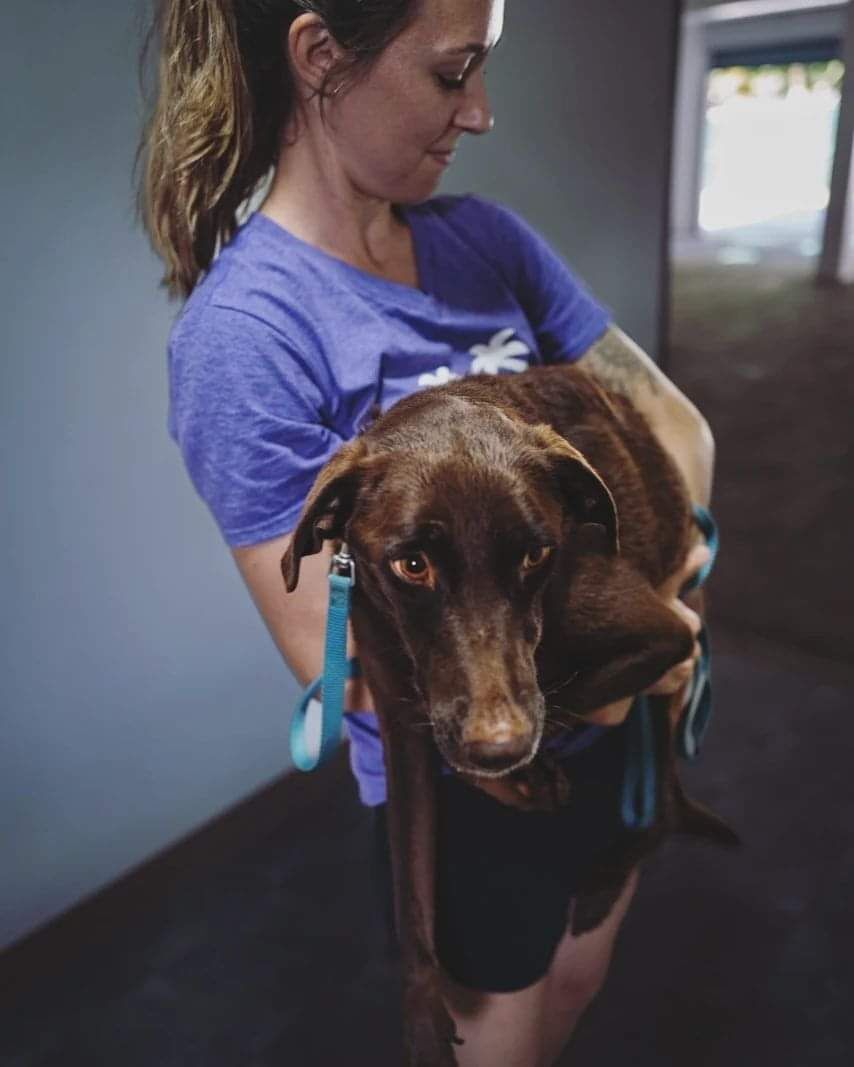 Lauren Cabrera with a dog she adopted from the Saipan Mayor's Office.