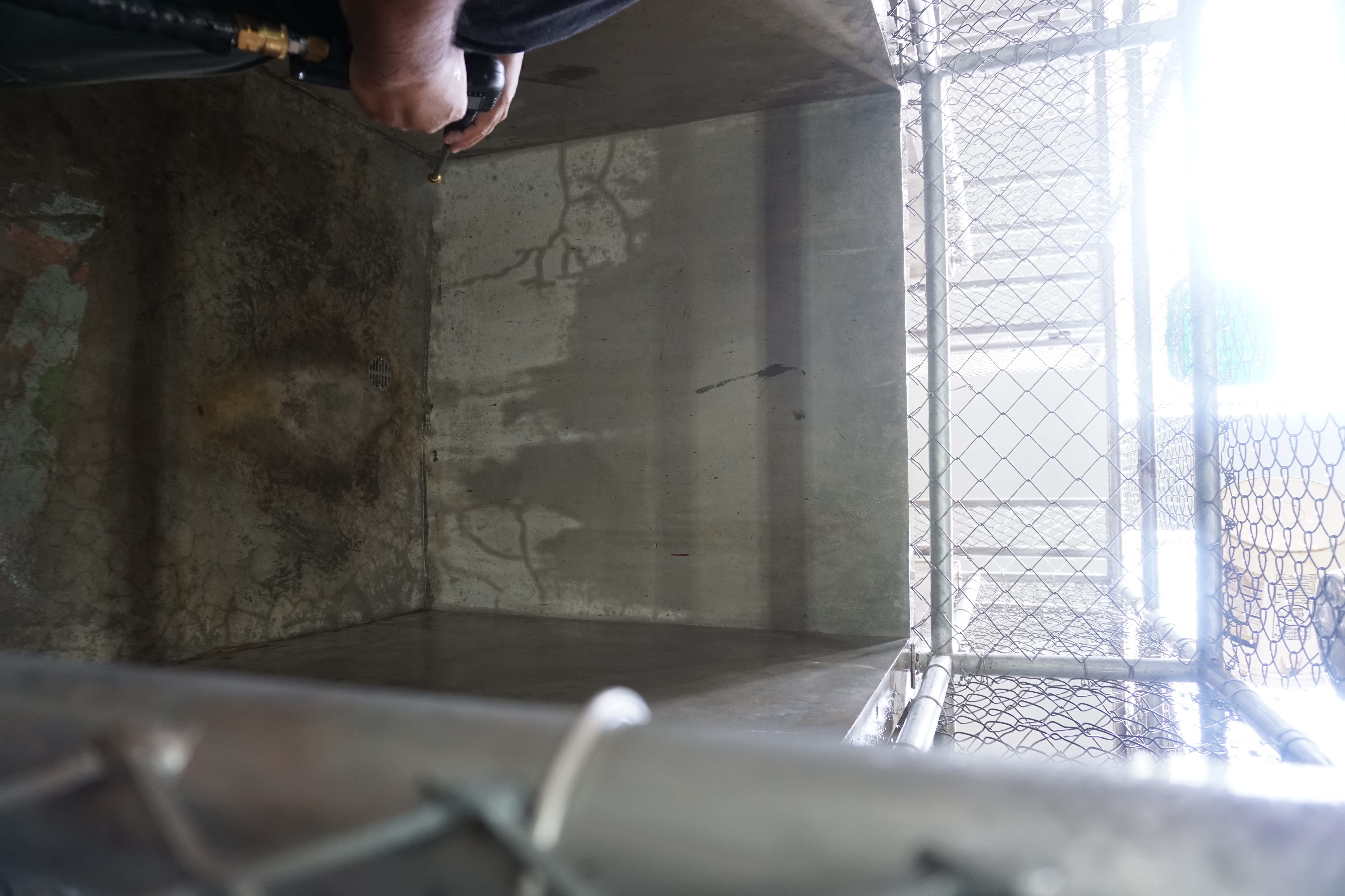 The staff of the Saipan Mayor’s Office cleaned up the dog kennels at the As Lito animal shelter on Monday, Jan. 30, 2023.