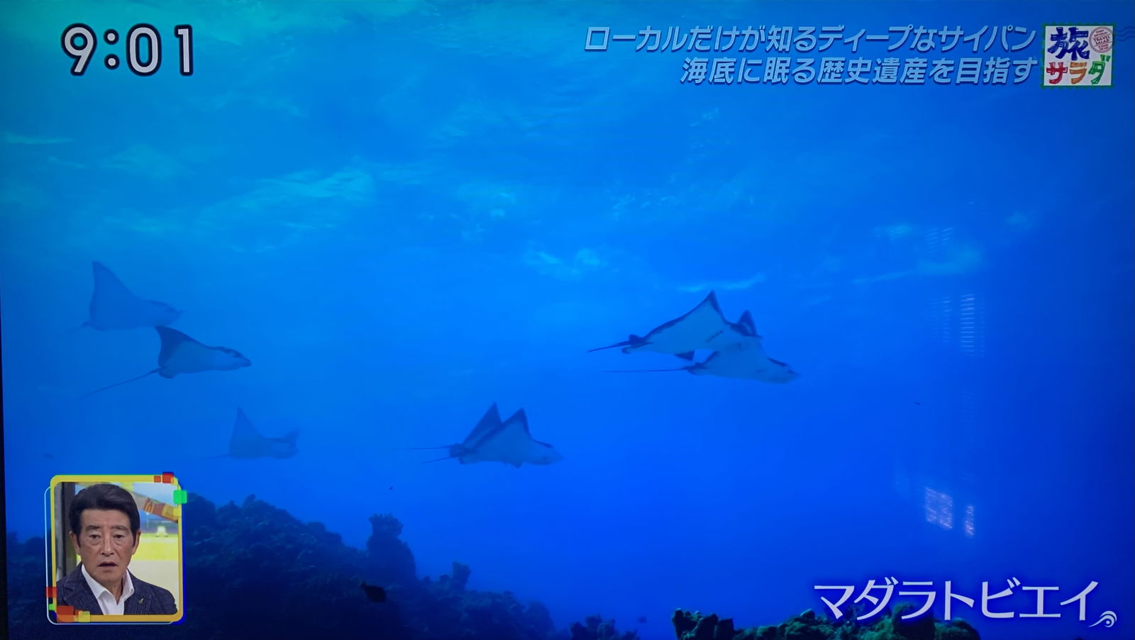 Japan TV travel show “Tabi Salad” featured The Marianas, including its diverse marine  life, in two broadcasts in January 2023, bringing $2.7 million in ad exposure value to the western Pacific island destination.  The show was filmed as part of a destination awareness media promotion organized by the Marianas Visitors Authority.