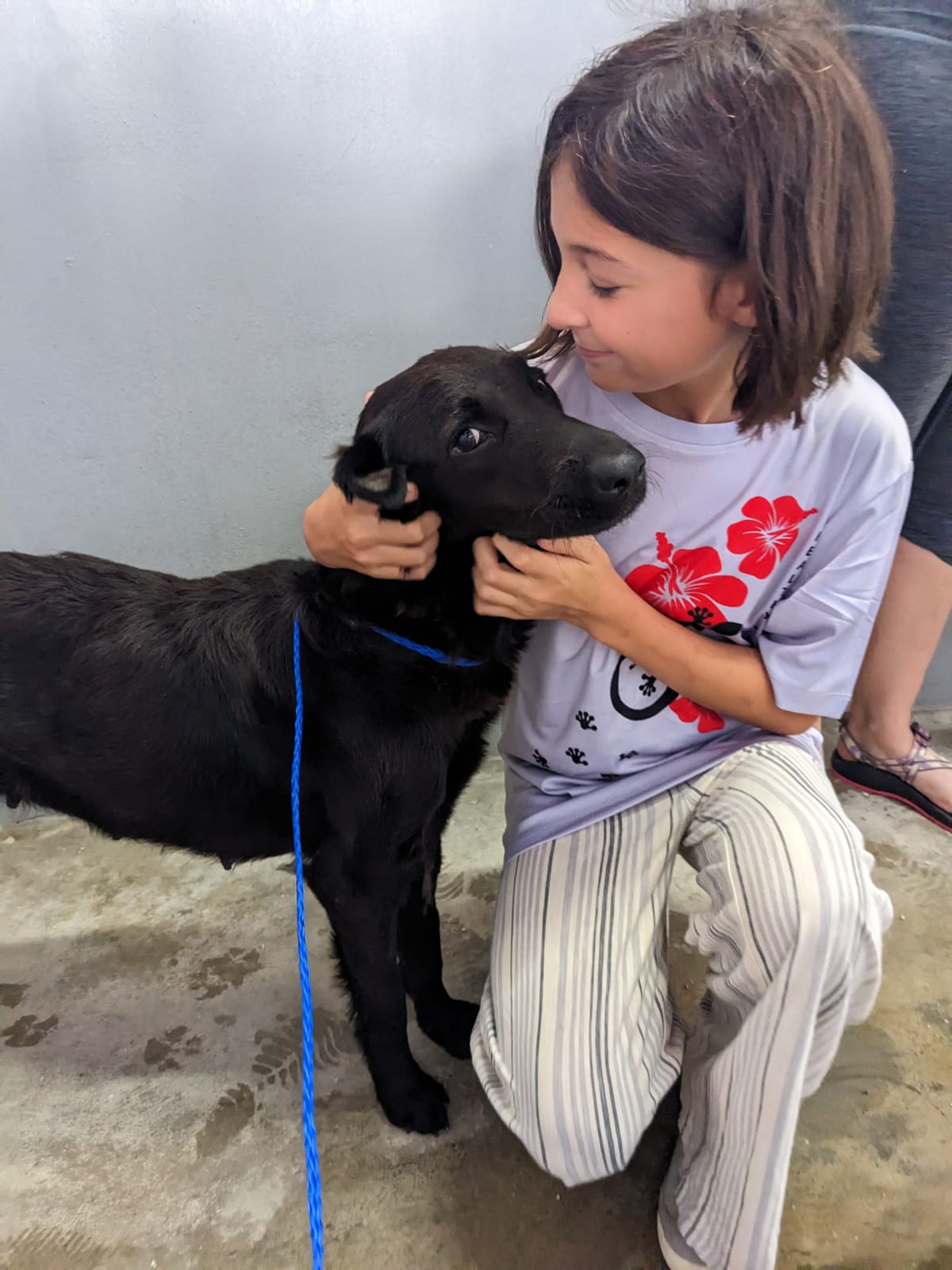 Anya Lewis, a volunteer at the animal shelter, with one of the dogs that are up for adoption.