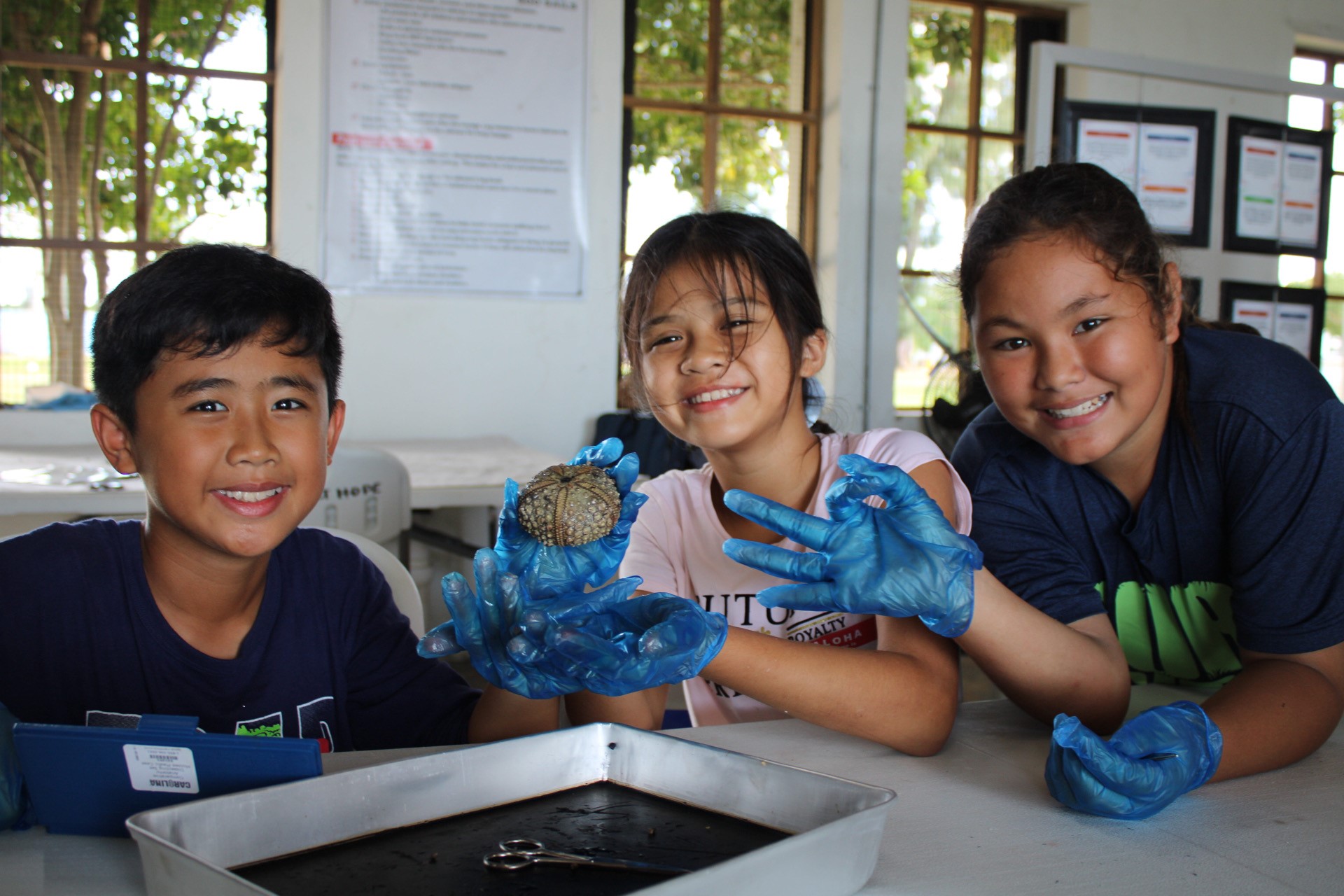 The Project HOPE (Healthy Oceans & People Empowerment) Spring 2023 free ocean science club is for students in grades 5th, 6th, 7th, and 8th.