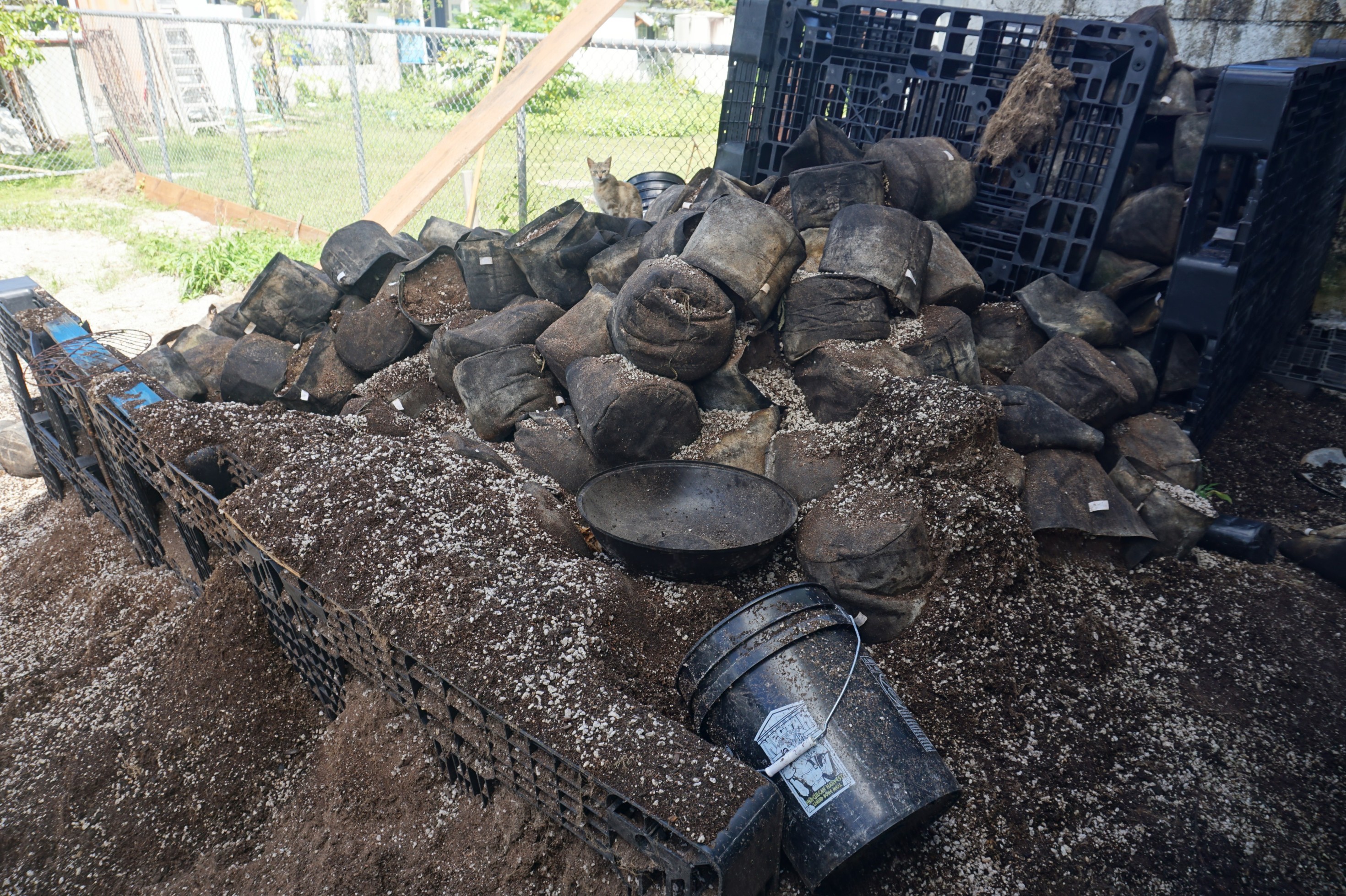 Cannabis soil is stored at Saipan Select’s farm in Tanapag.
