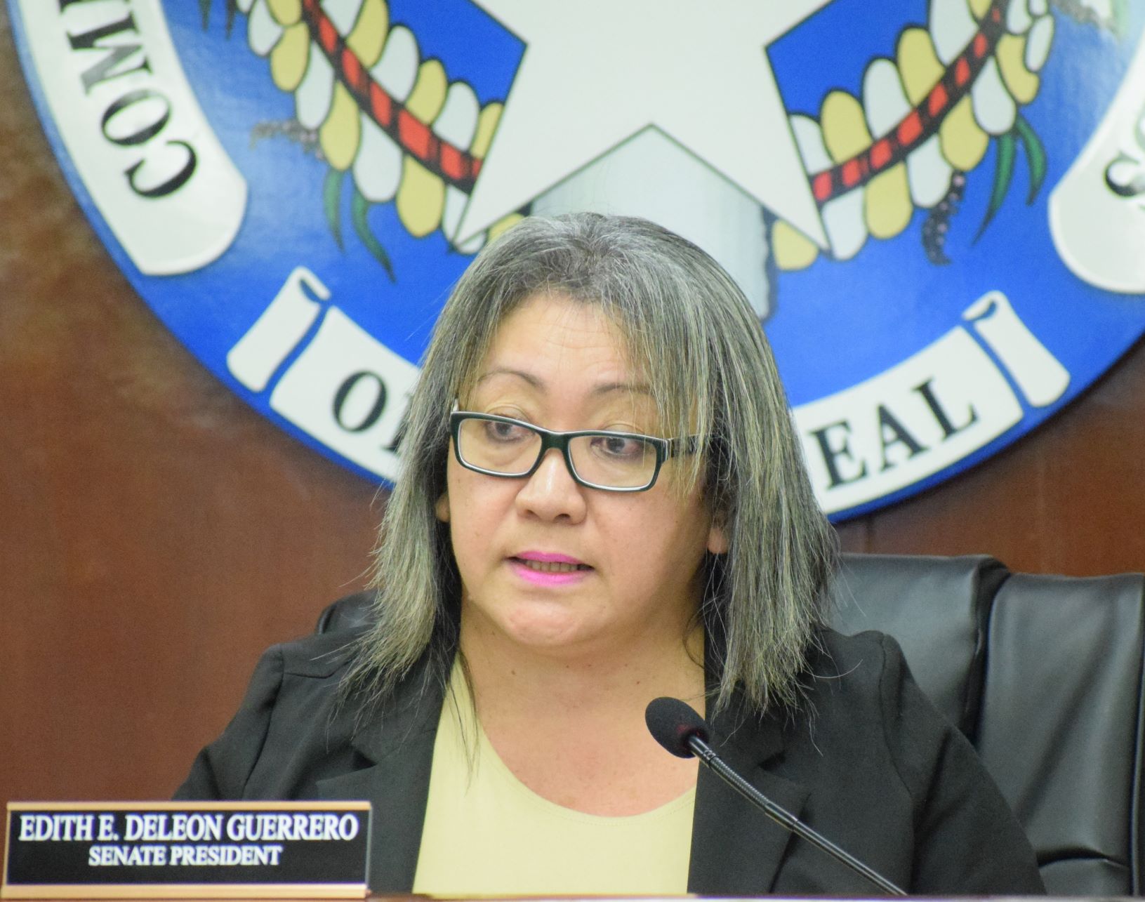 Senate President Edith Deleon Guerrero speaks during a Senate session on Feb. 14, 2023.