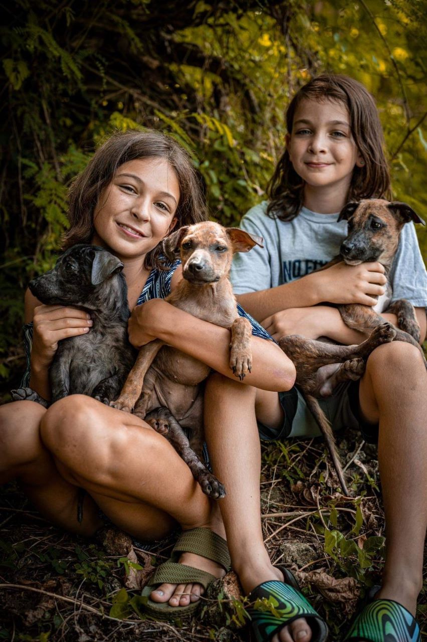 Anya and Noah took care of the puppies for three weeks.