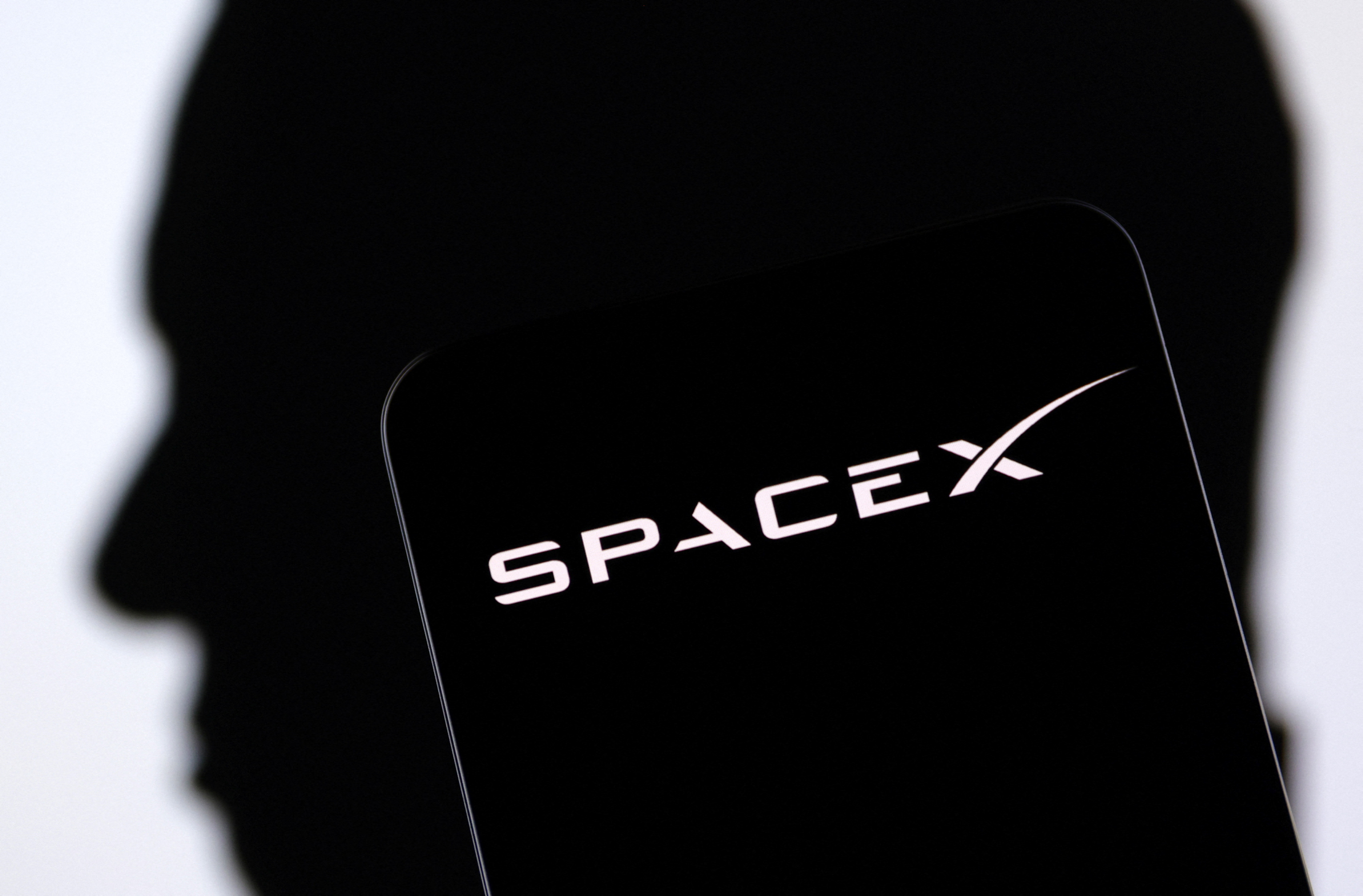 SpaceX logo and Elon Musk silhouette are seen in this illustration taken, December 19, 2022. REUTERS/Dado Ruvic/Illustration