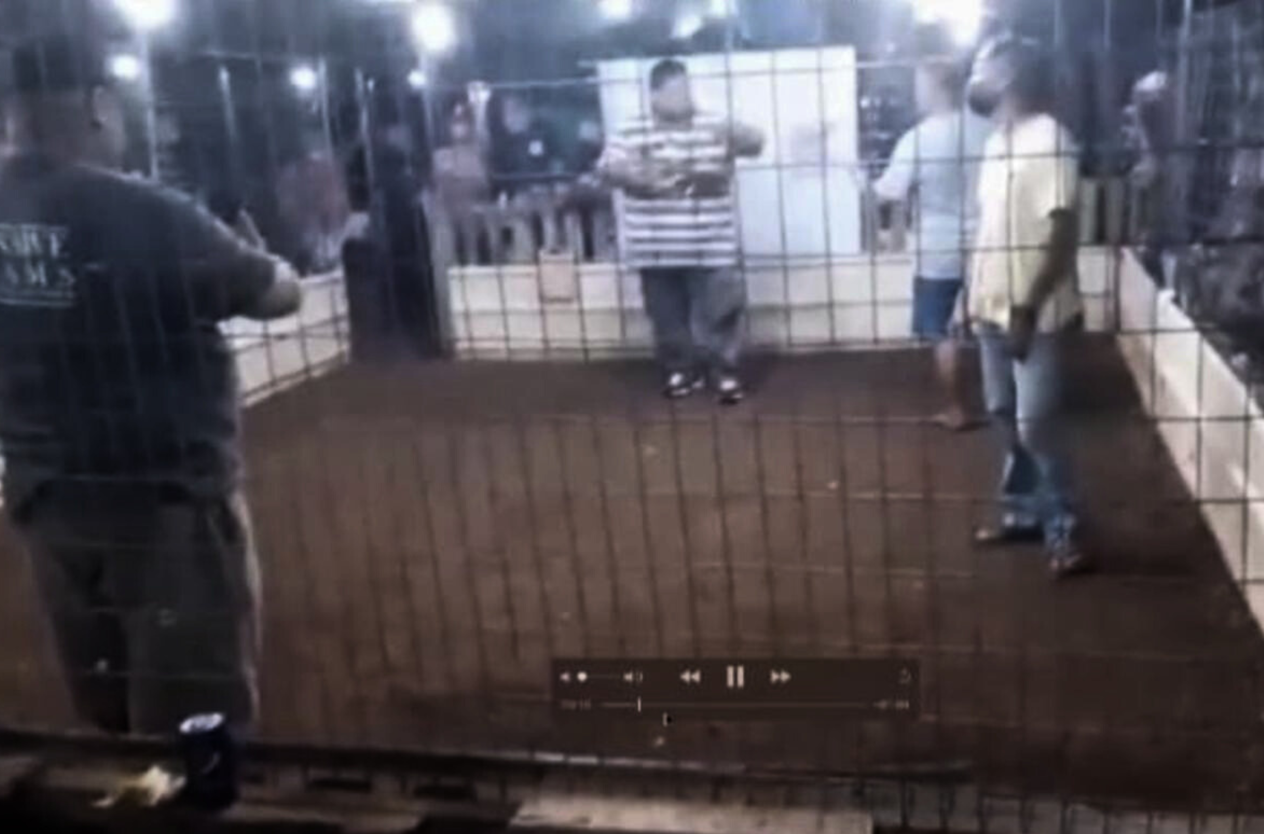 This screenshot is from a video shown by Animal Wellness Action at a press conference last year. The video allegedly depicts a Department of Agriculture commodity inspector, wearing the striped T-shirt, participating in a cockfighting event in Yigo in June 2021. 