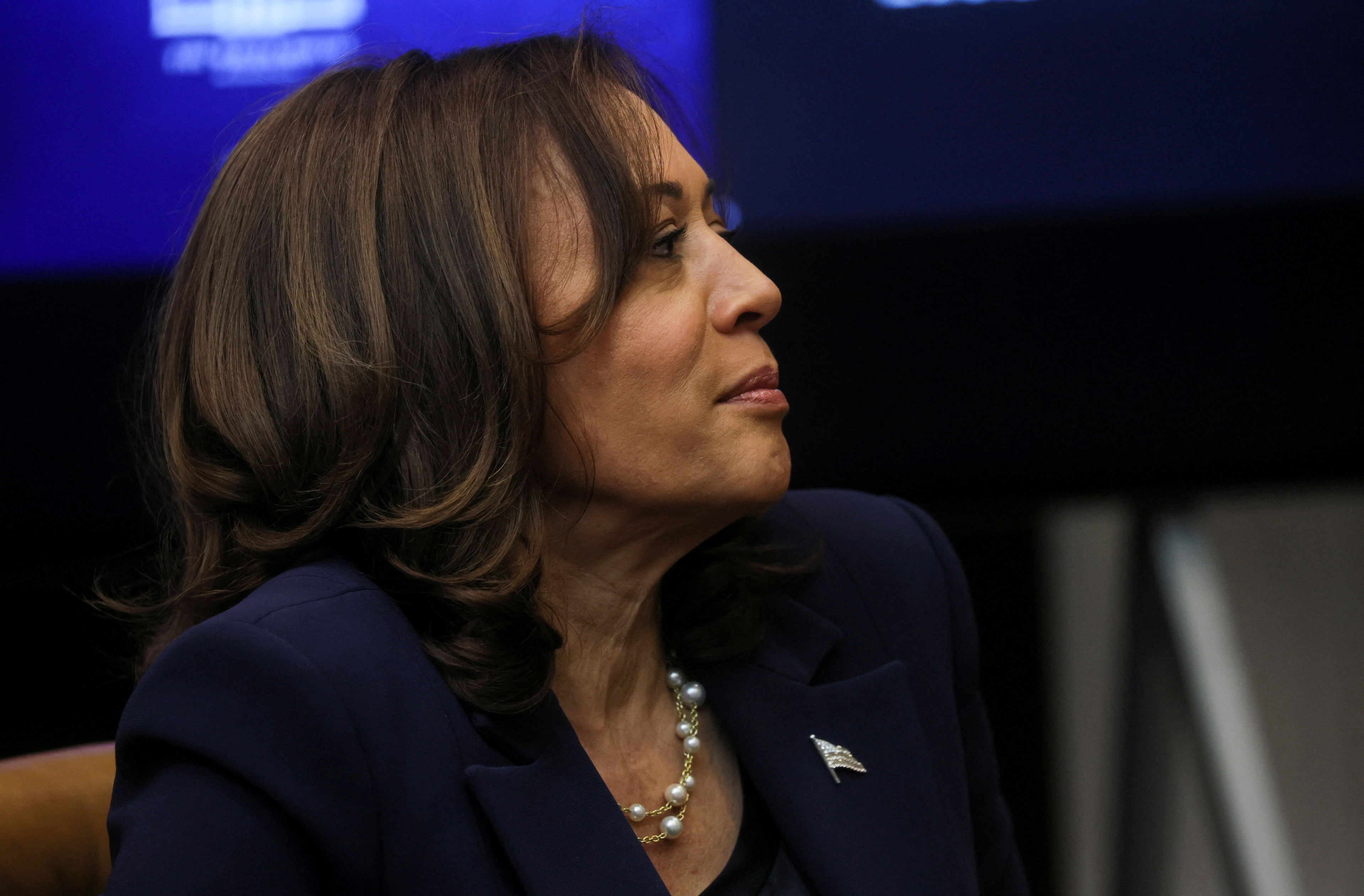 FILE PHOTO: U.S. Vice President Kamala Harris attends an "Investing in America Cabinet" meeting hosted by U.S. President Joe Biden in the Roosevelt Room at the White House in Washington, U.S., May 5, 2023. REUTERS/Leah Millis/File Photo