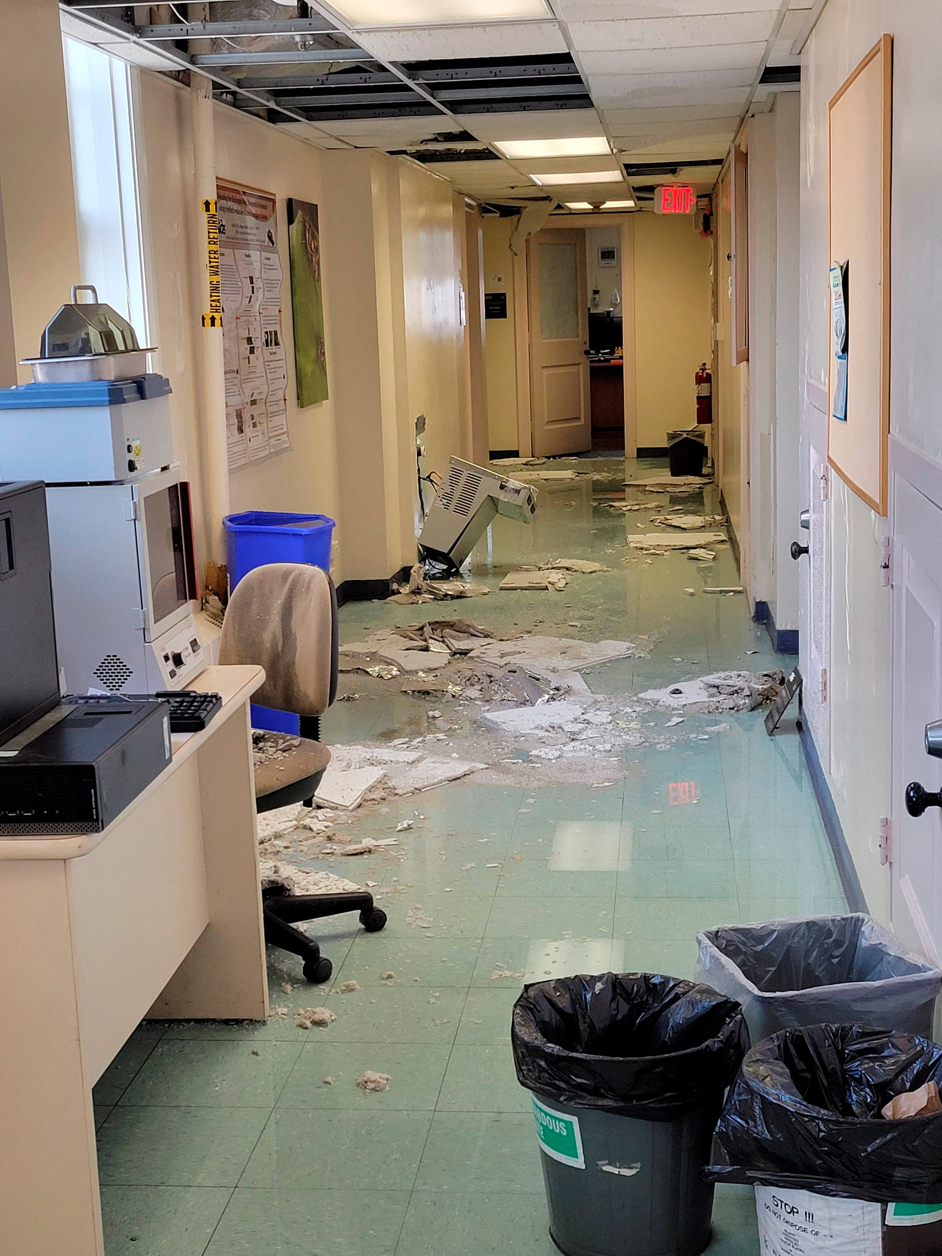 A damaged hallway in the U.S. Department of Agriculture’s (USDA) Beltsville Agricultural Research Center (BARC) is seen in a photo taken by an employee after a 2022 Christmas Day flood and ceiling collapses at the research facility, where employees have now filed whistleblower complaints over working conditions, in Beltsville, Maryland, U.S. December 26, 2022. Ashaki "Teddi" Mitchell/Handout via Reuters THIS IMAGE HAS BEEN SUPPLIED BY A THIRD PARTY
