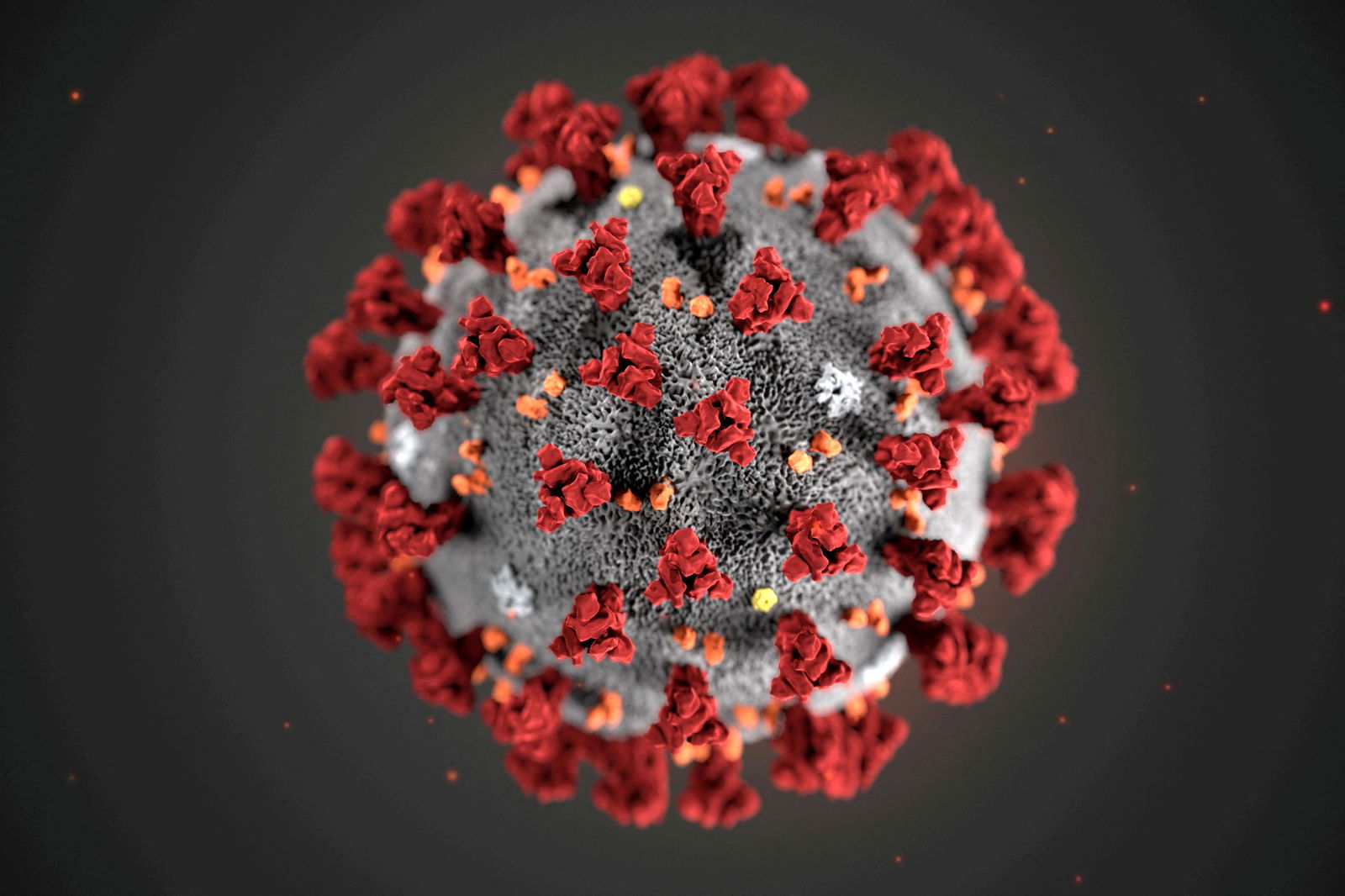FILE PHOTO: The ultrastructural morphology exhibited by the 2019 Novel Coronavirus is seen in an illustration released by the U.S.Centers for Disease Control and Prevention (CDC) in Atlanta, Georgia, U.S. January 29, 2020. Alissa Eckert, MS; Dan Higgins, MAM/CDC/Handout via REUTERS.