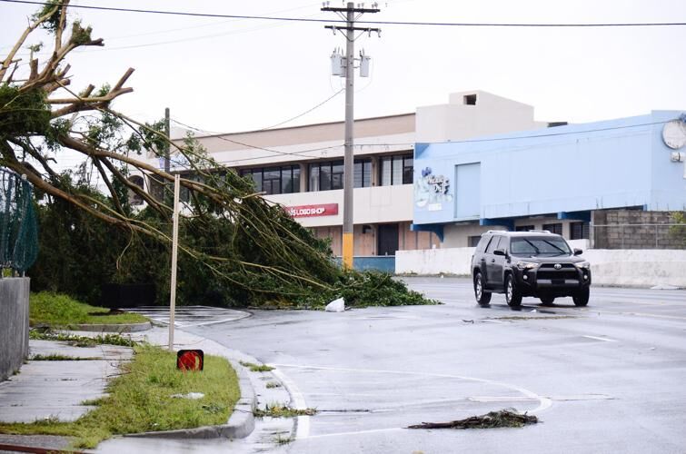 A fallen tree blocks both lanes on a road leading to Hagåtña. 